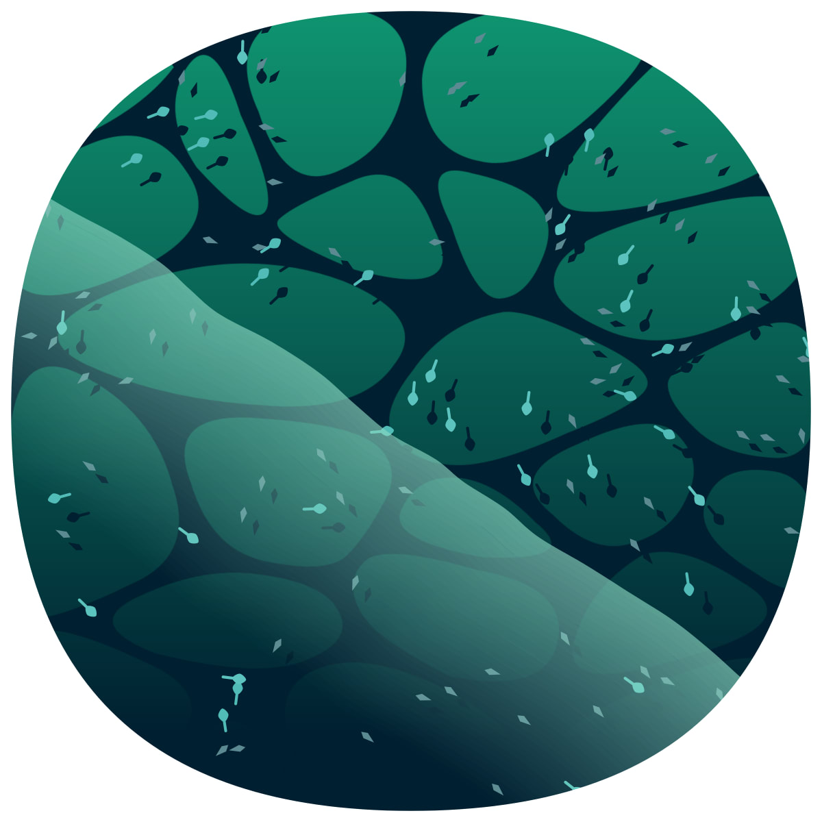 video placeholder image