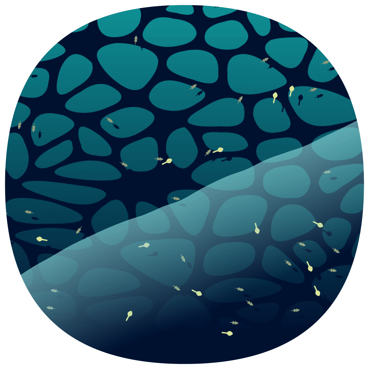 video placeholder image