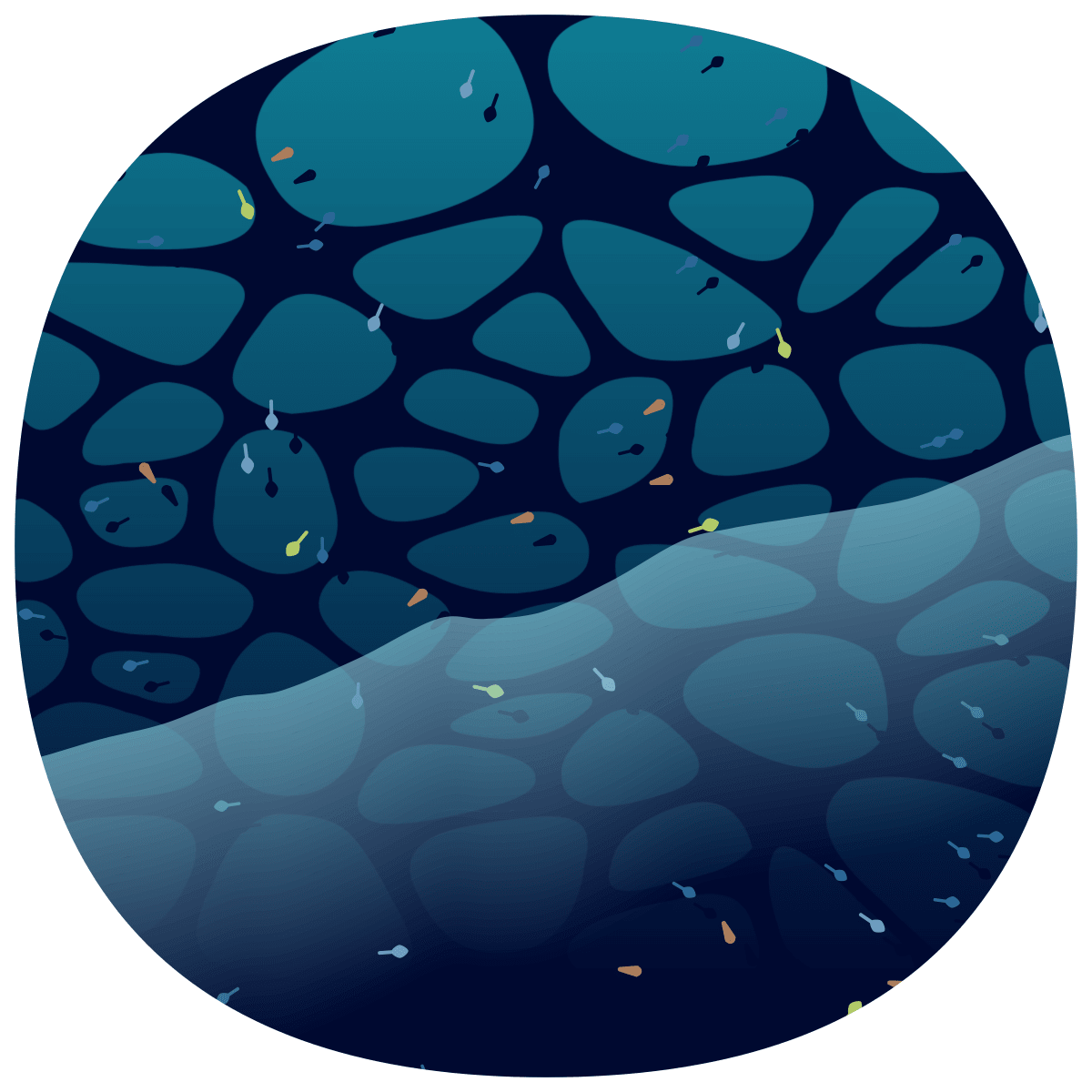 video placeholder image