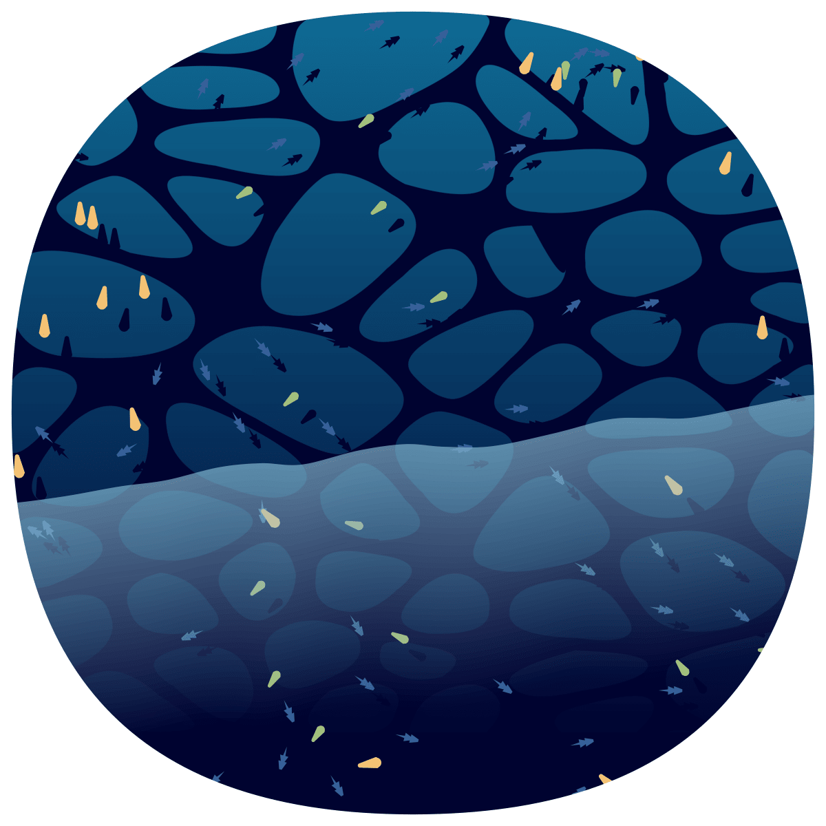 video placeholder image