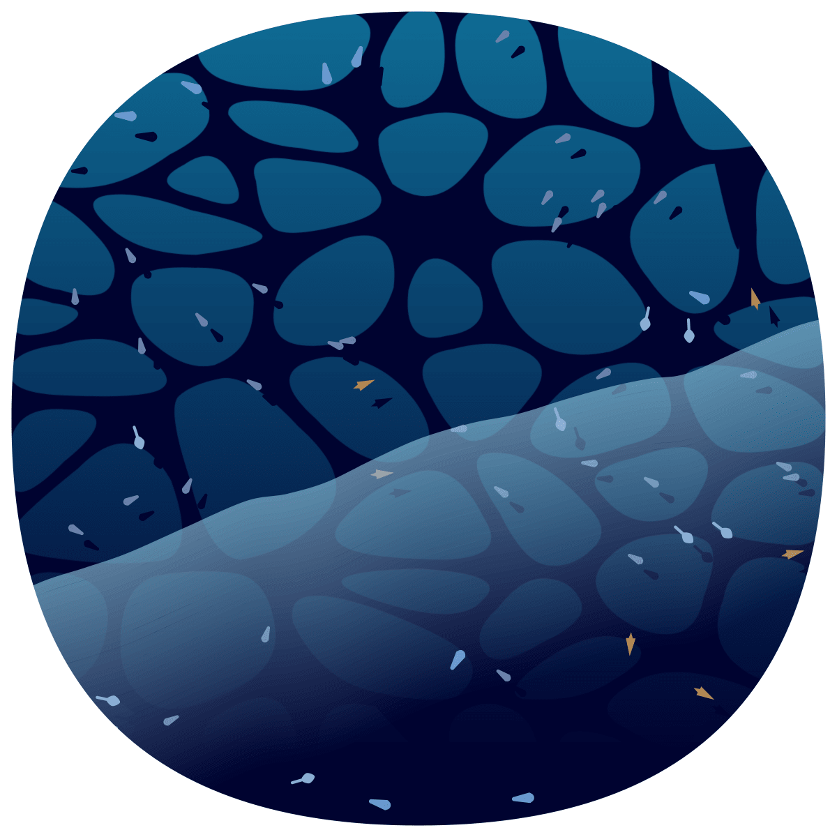 video placeholder image
