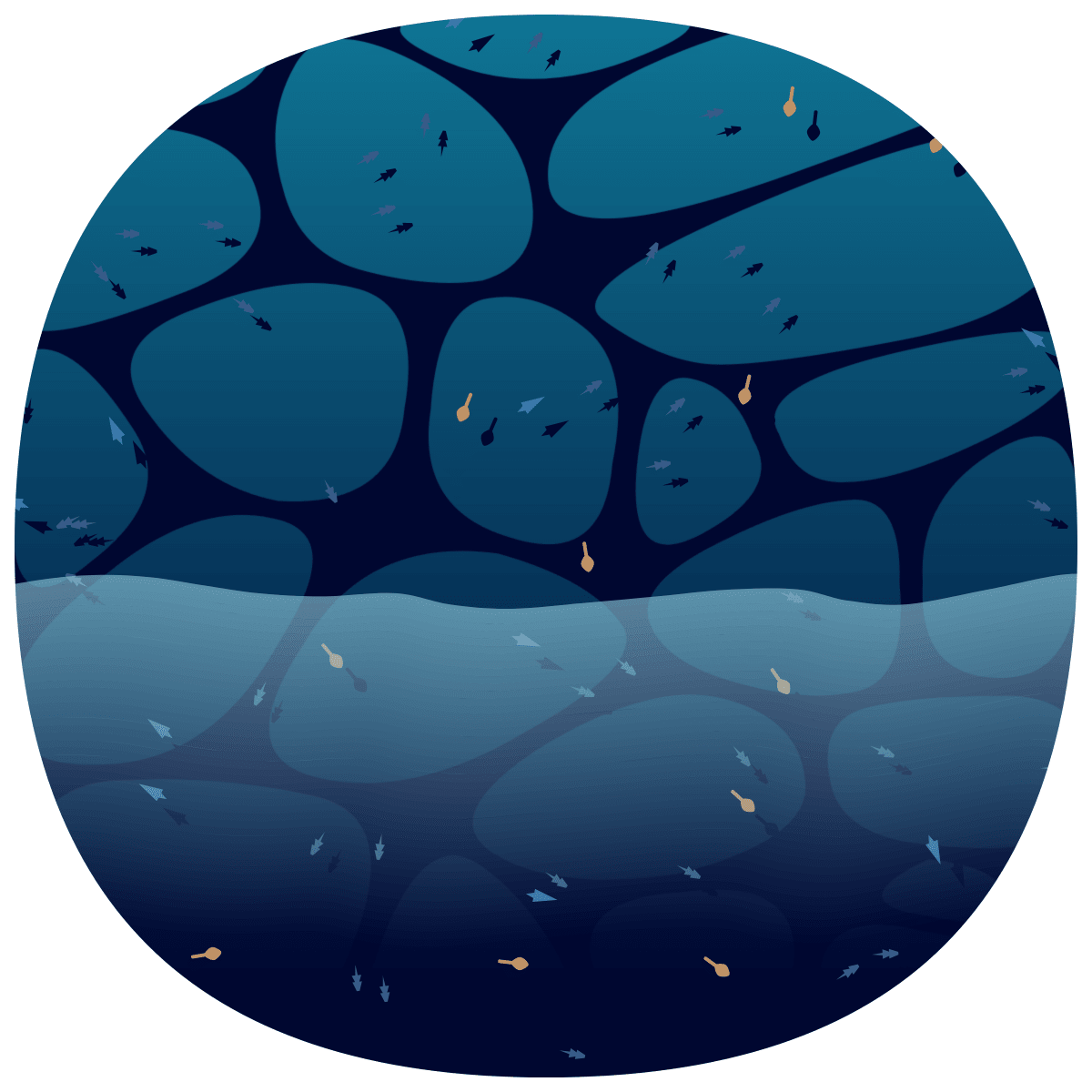 video placeholder image