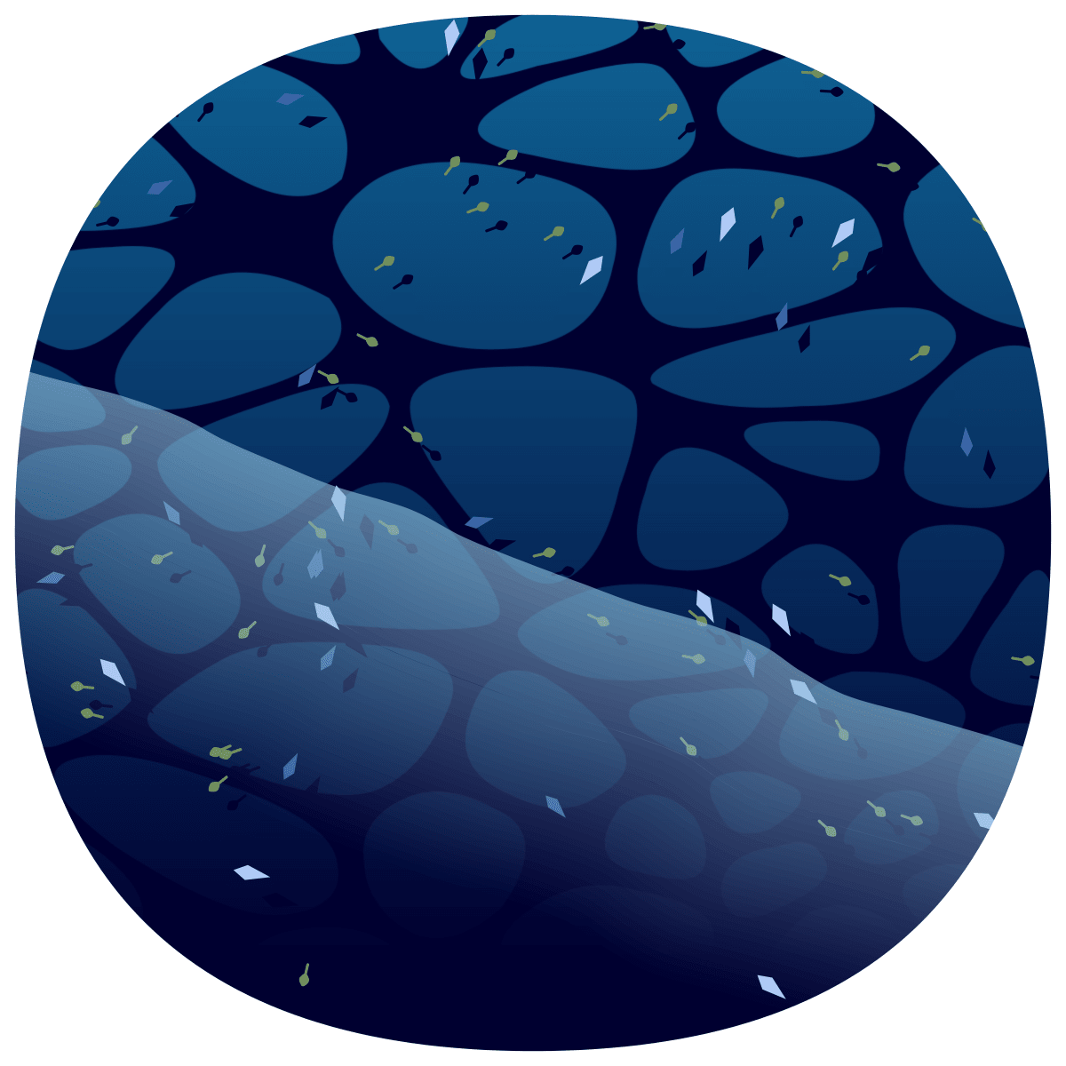 video placeholder image