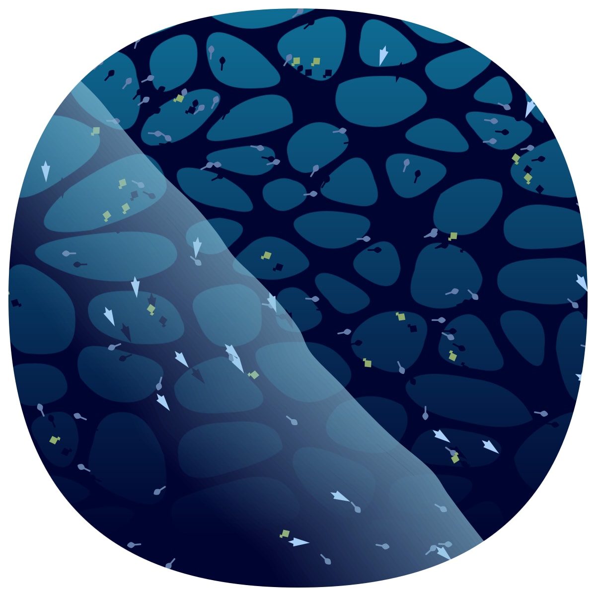video placeholder image