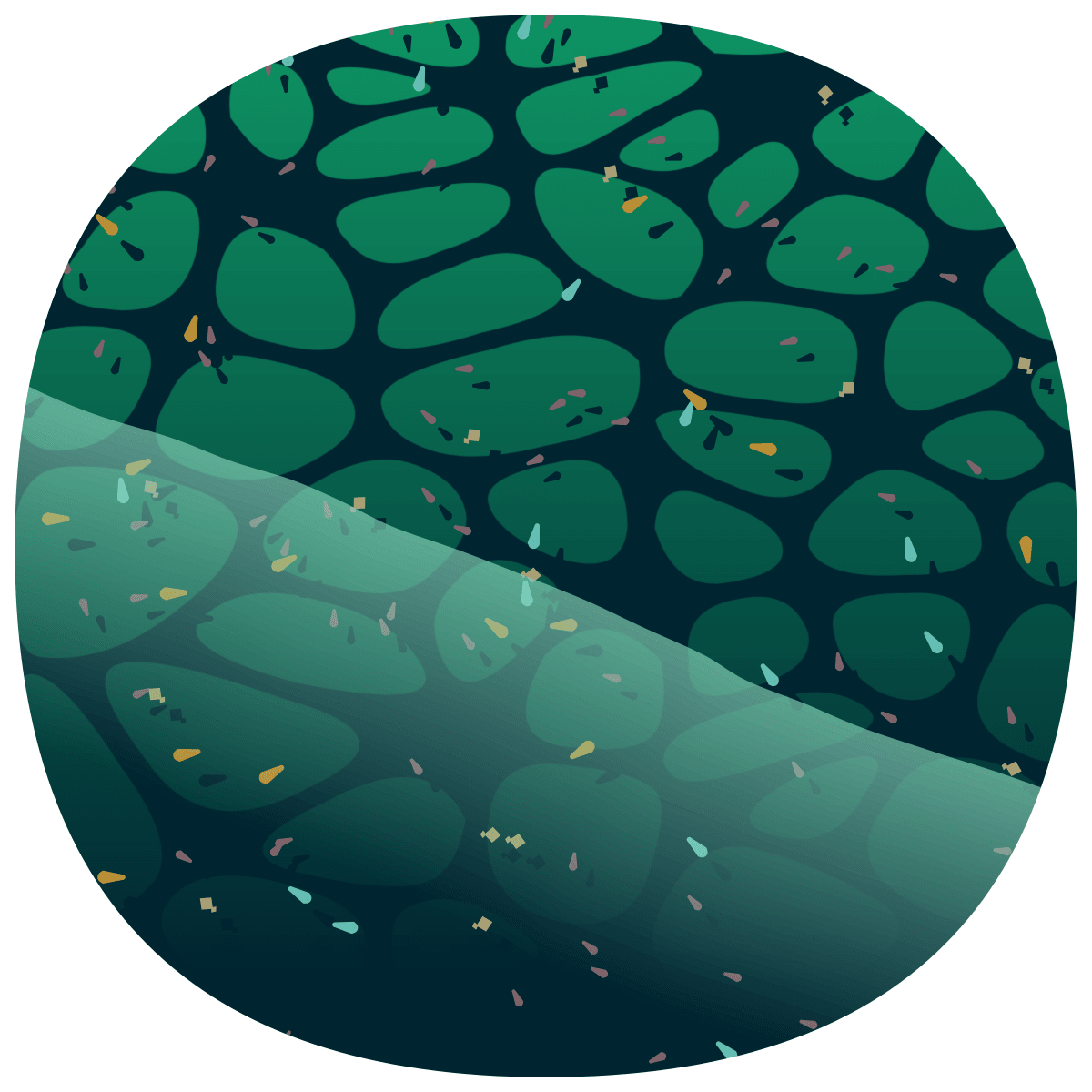 video placeholder image