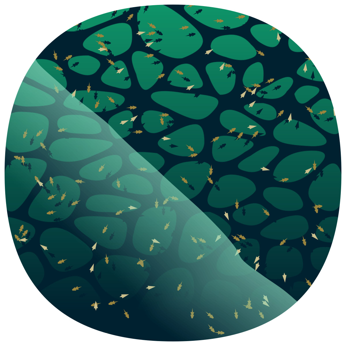 video placeholder image