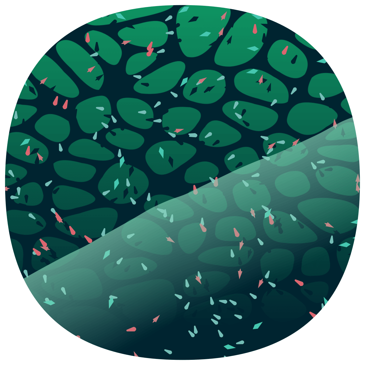 video placeholder image