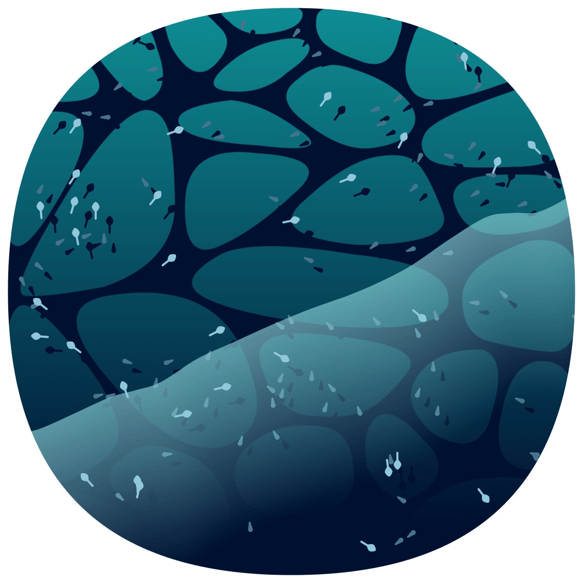 video placeholder image
