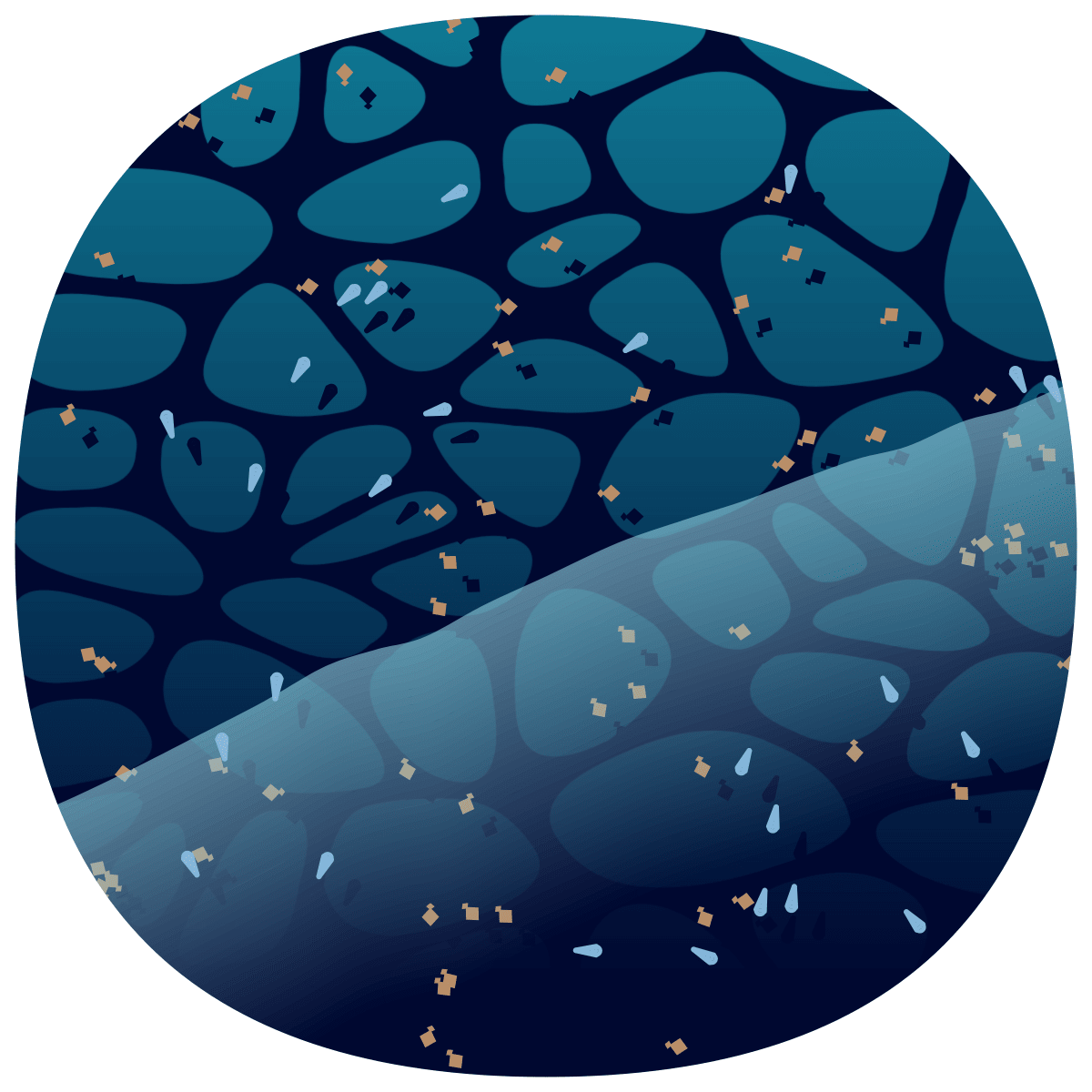 video placeholder image