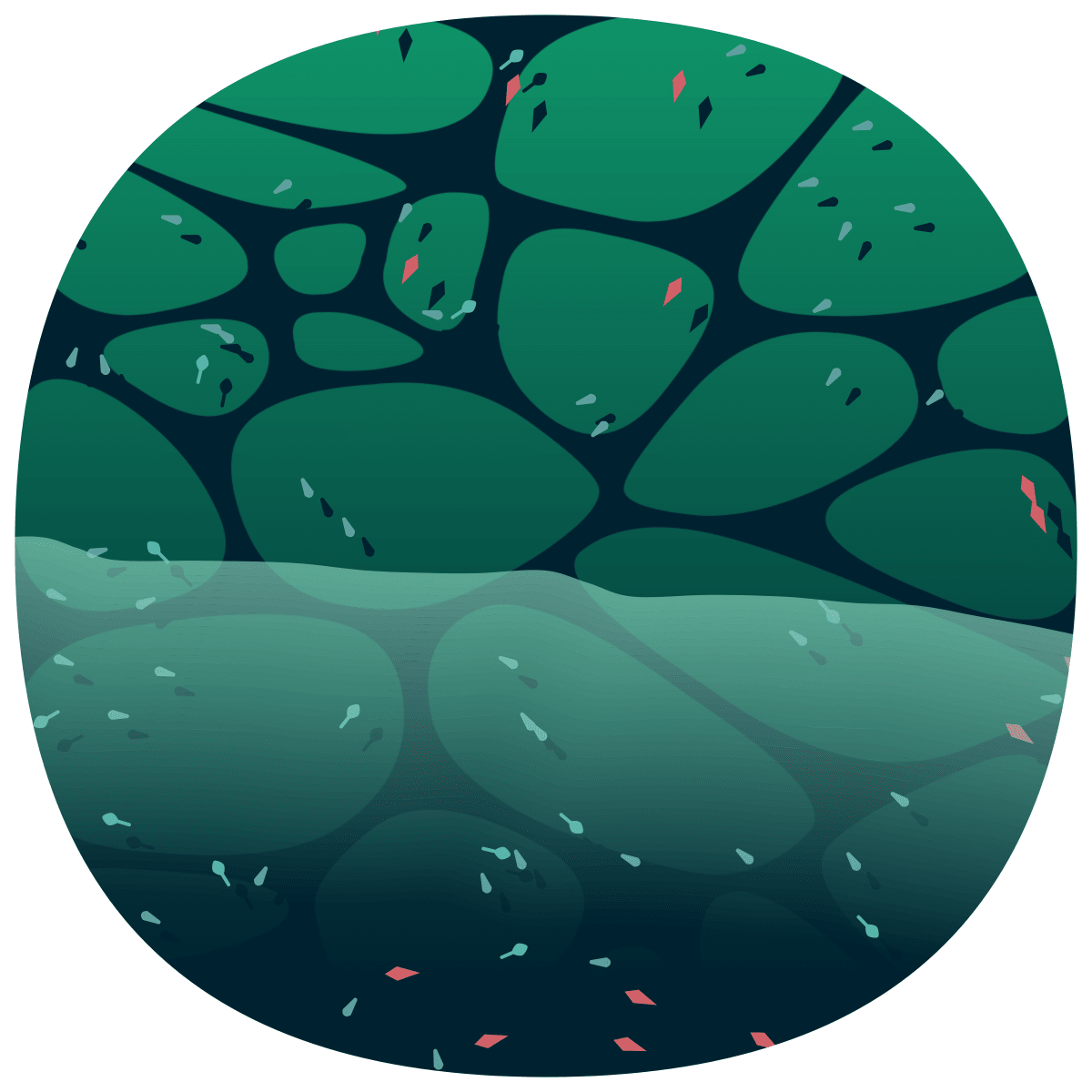 video placeholder image