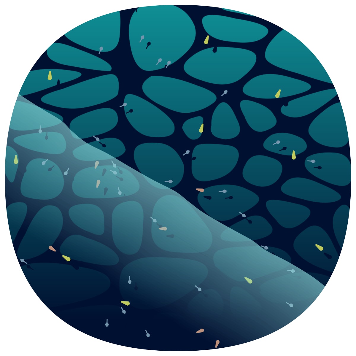 video placeholder image