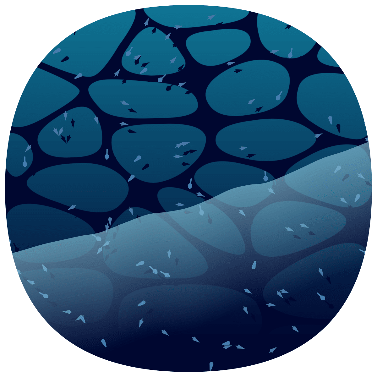 video placeholder image