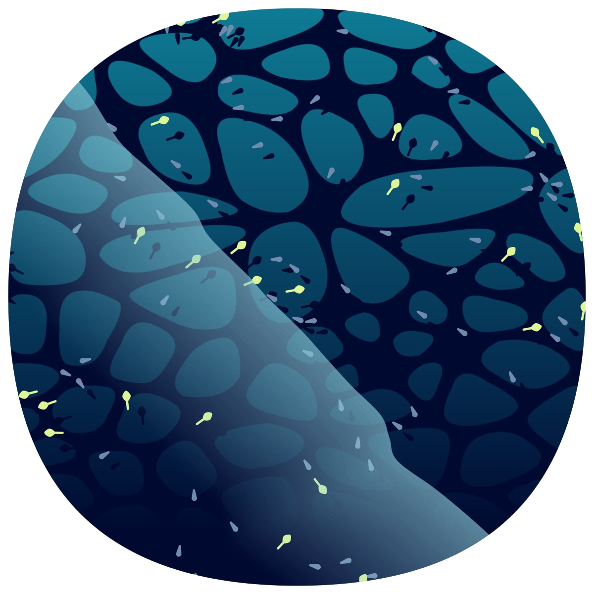 video placeholder image