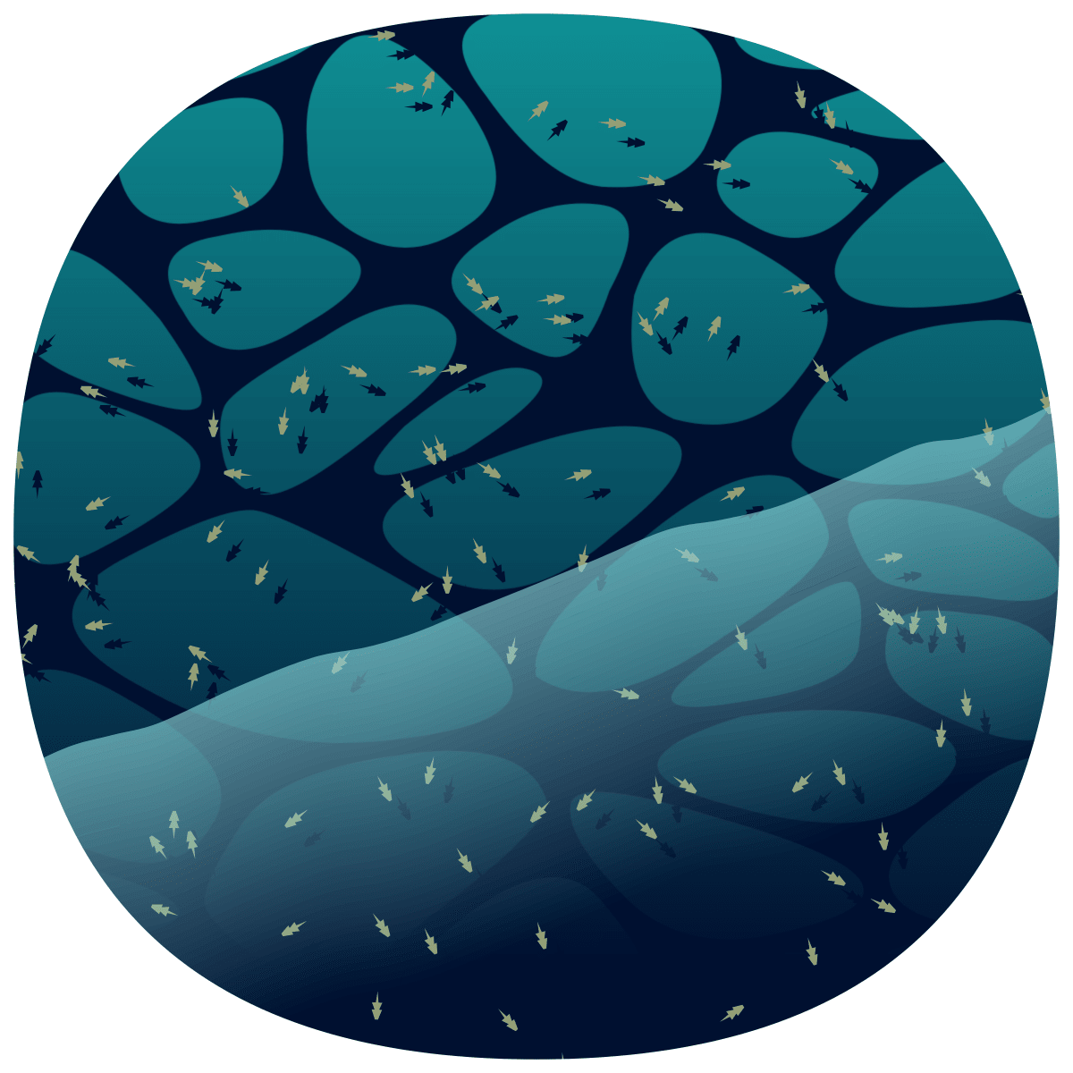 video placeholder image