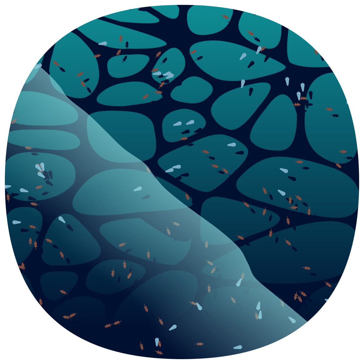 video placeholder image