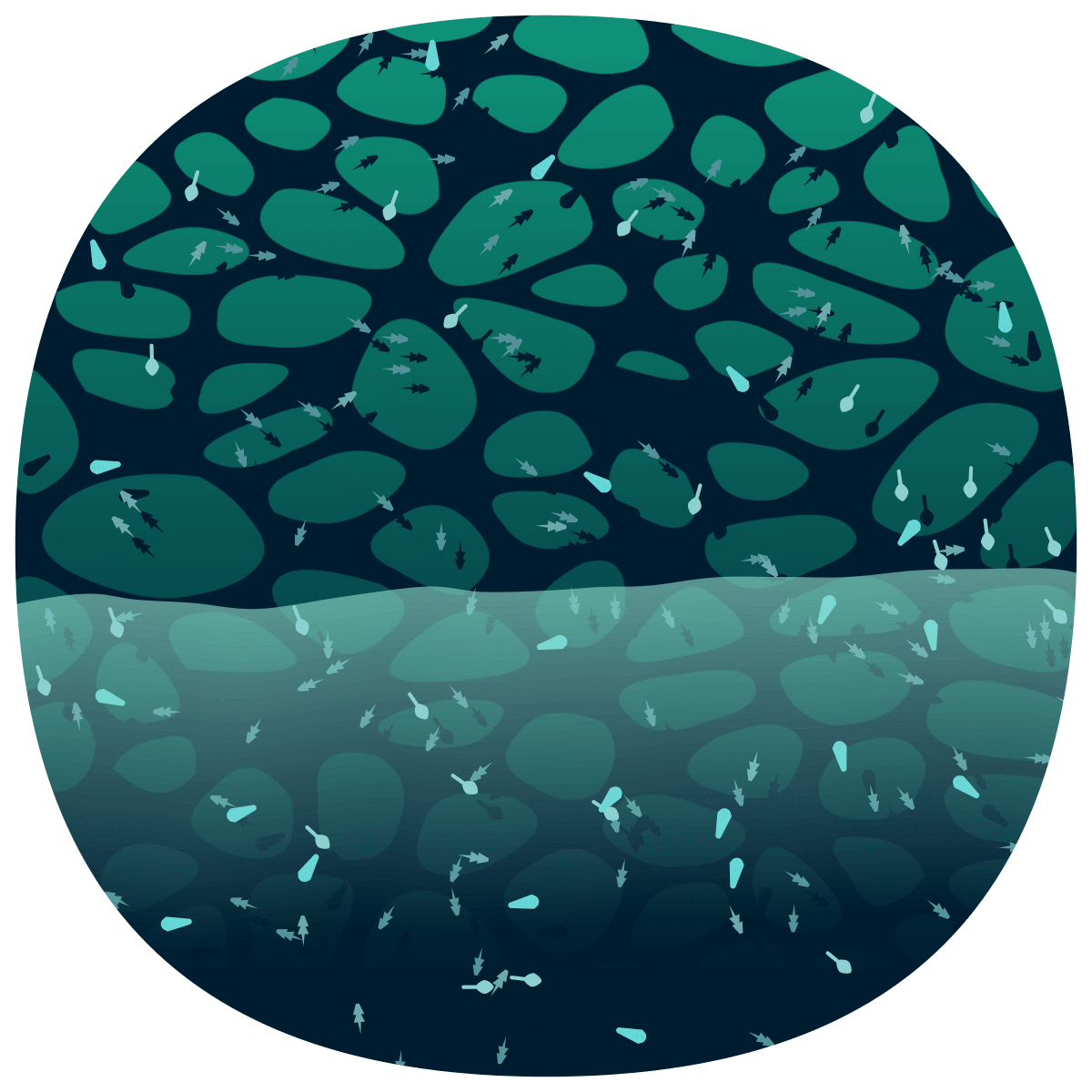 video placeholder image