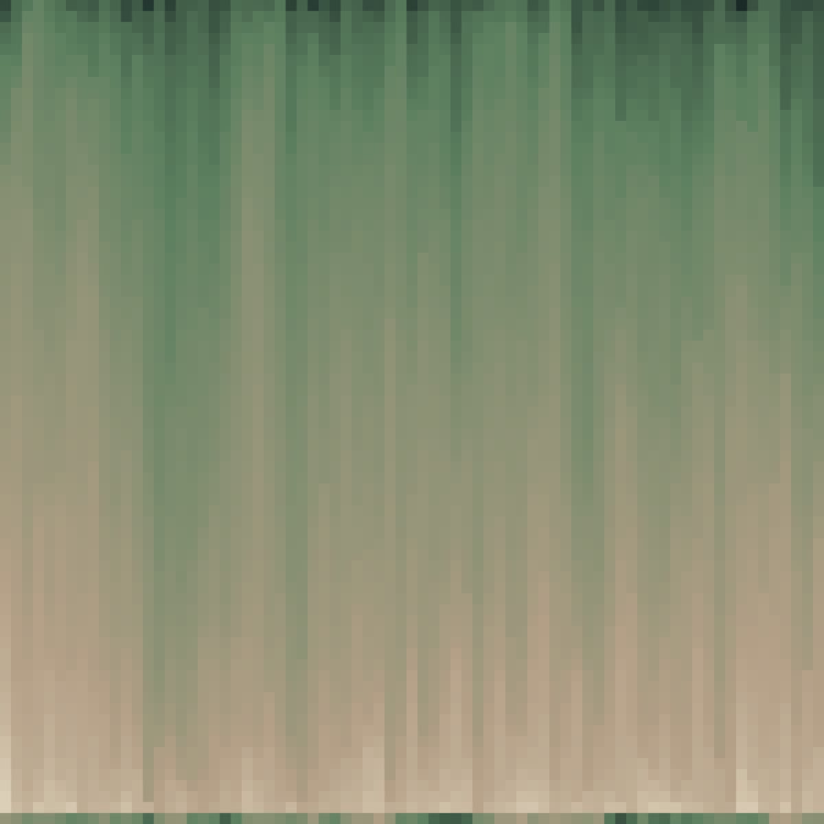 video placeholder image