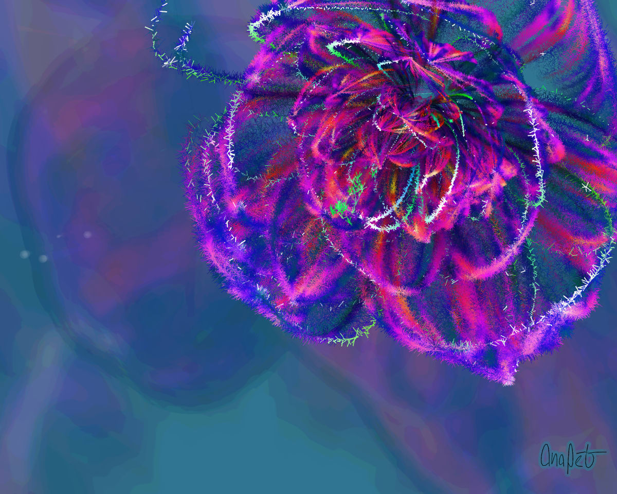 video placeholder image
