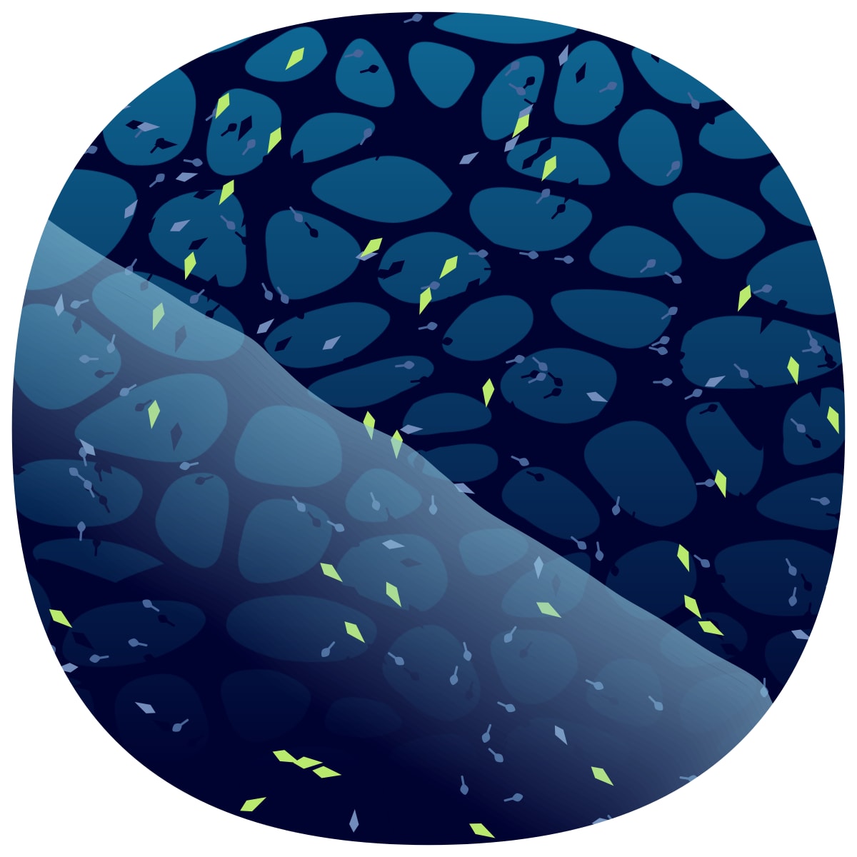 video placeholder image