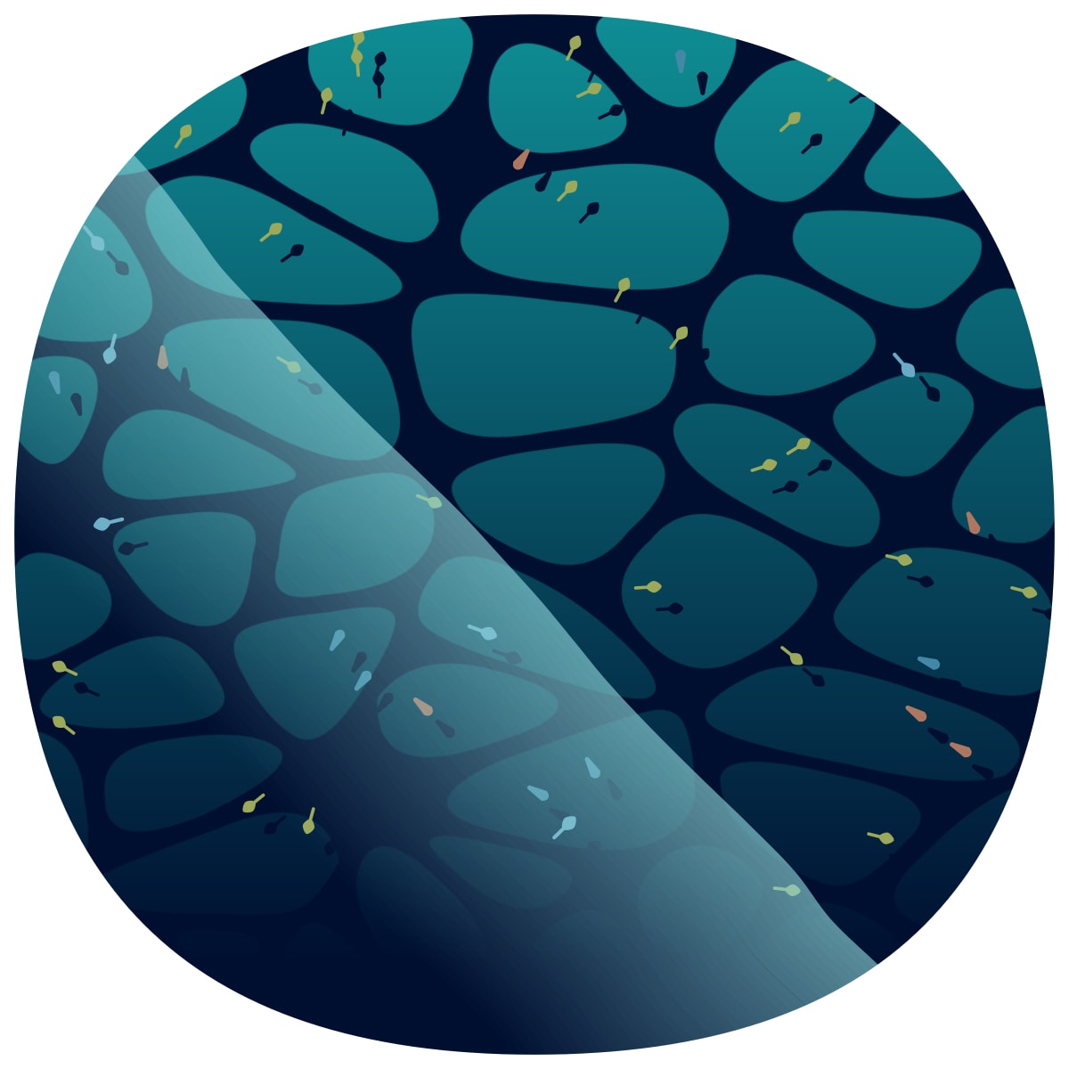 video placeholder image
