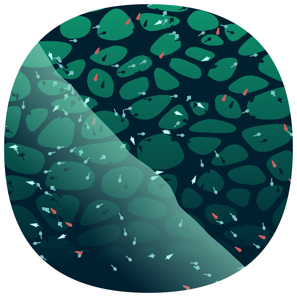 video placeholder image