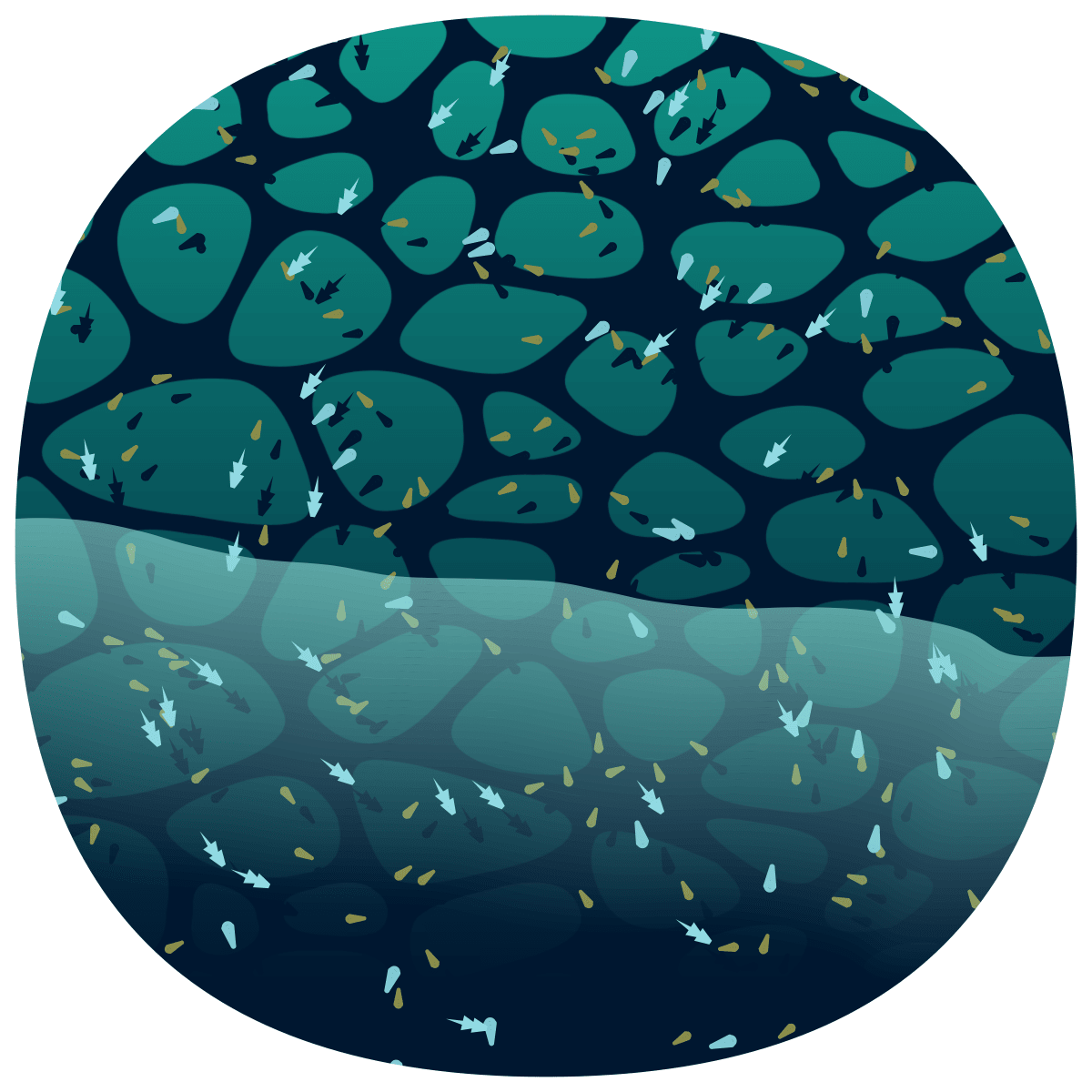 video placeholder image