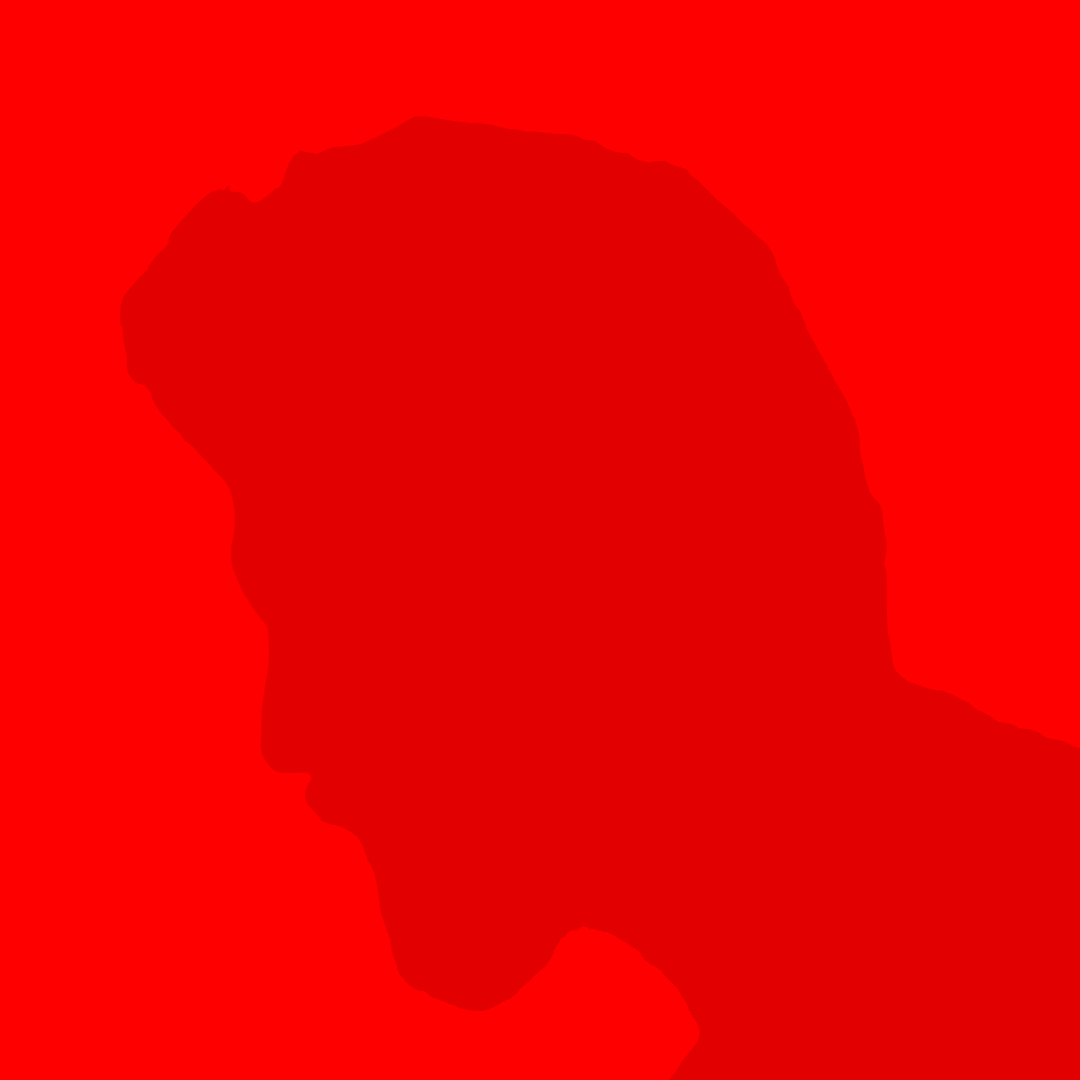 shaunaq