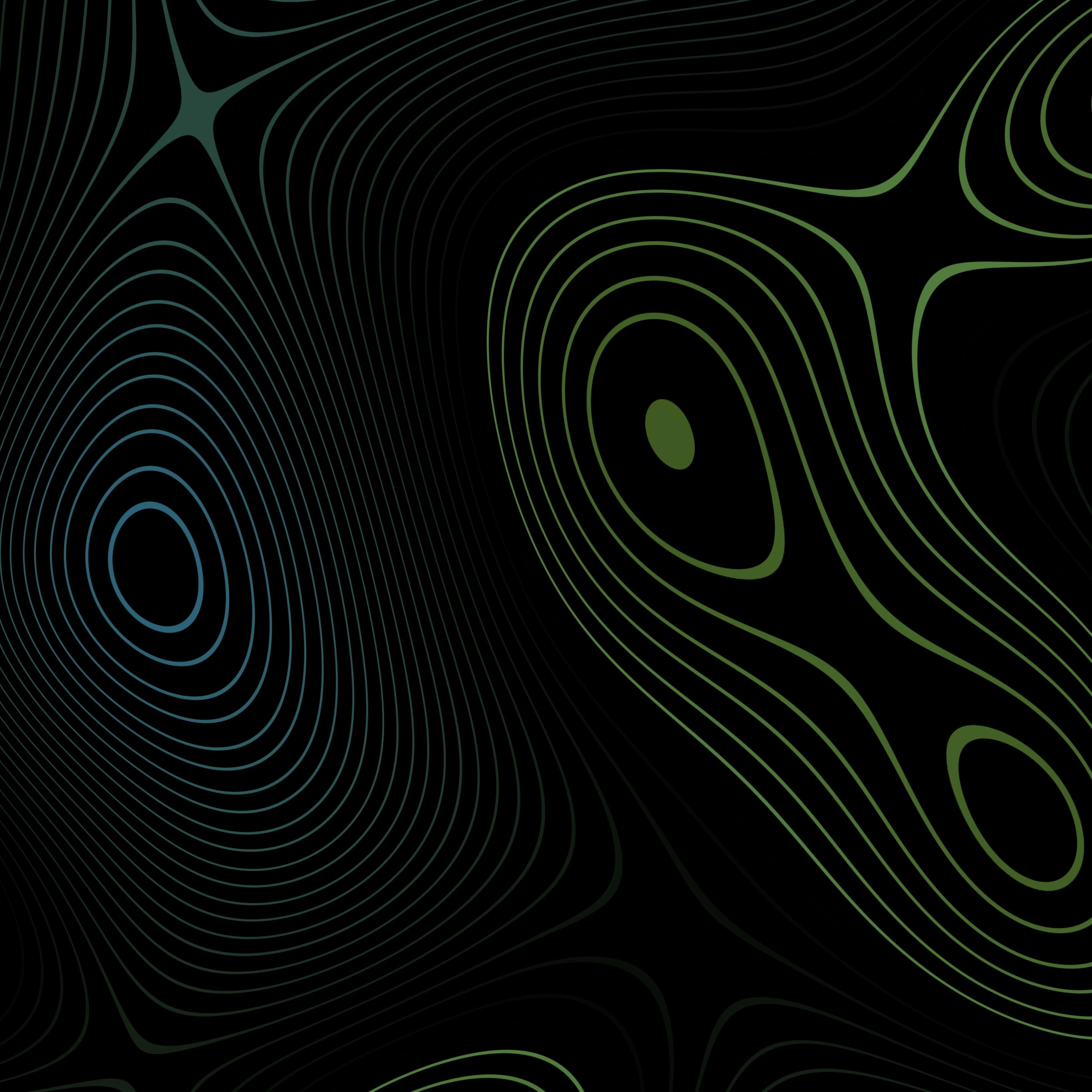 Motus Art header