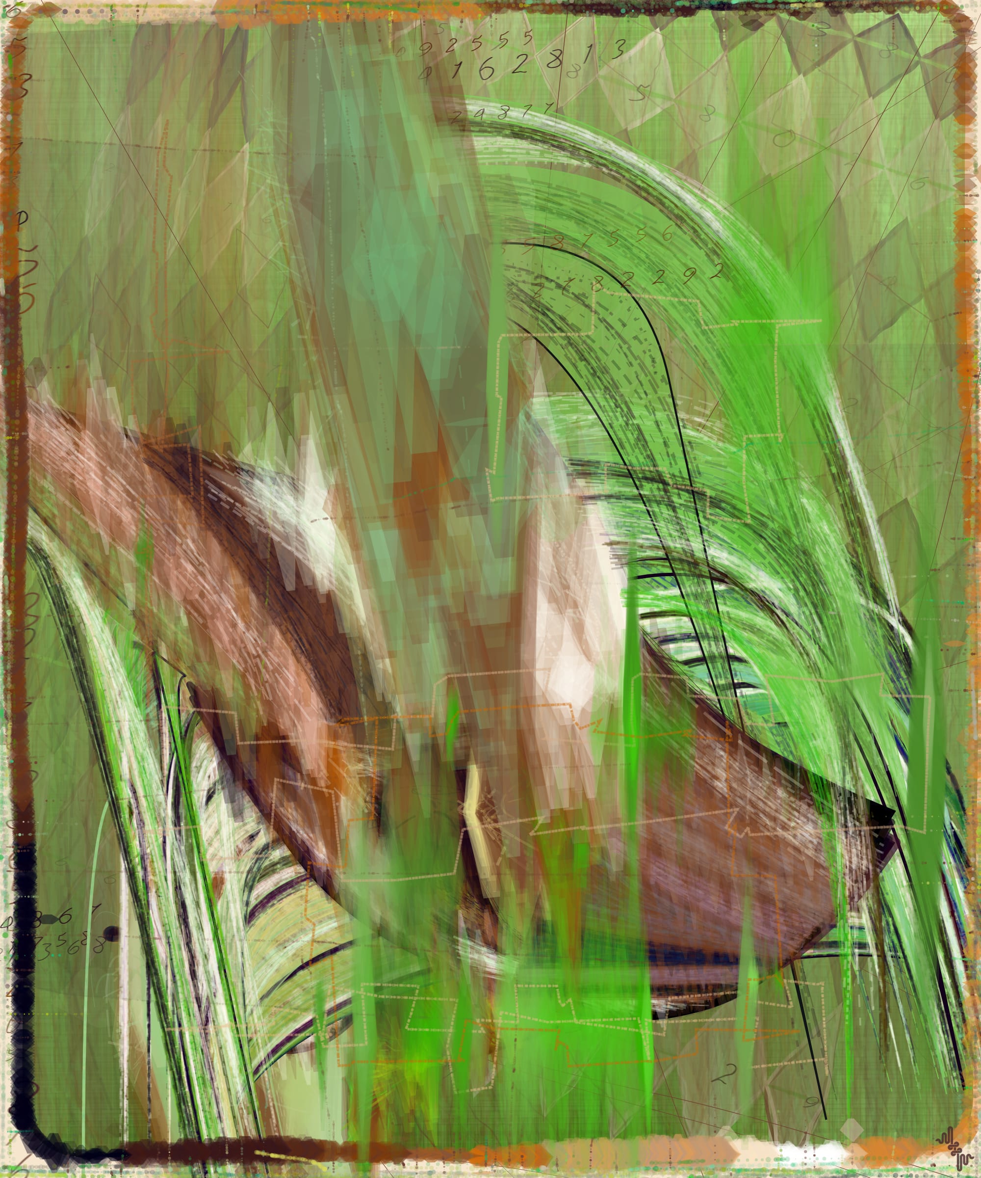 Algorithmic Synesthesia CC #3000260