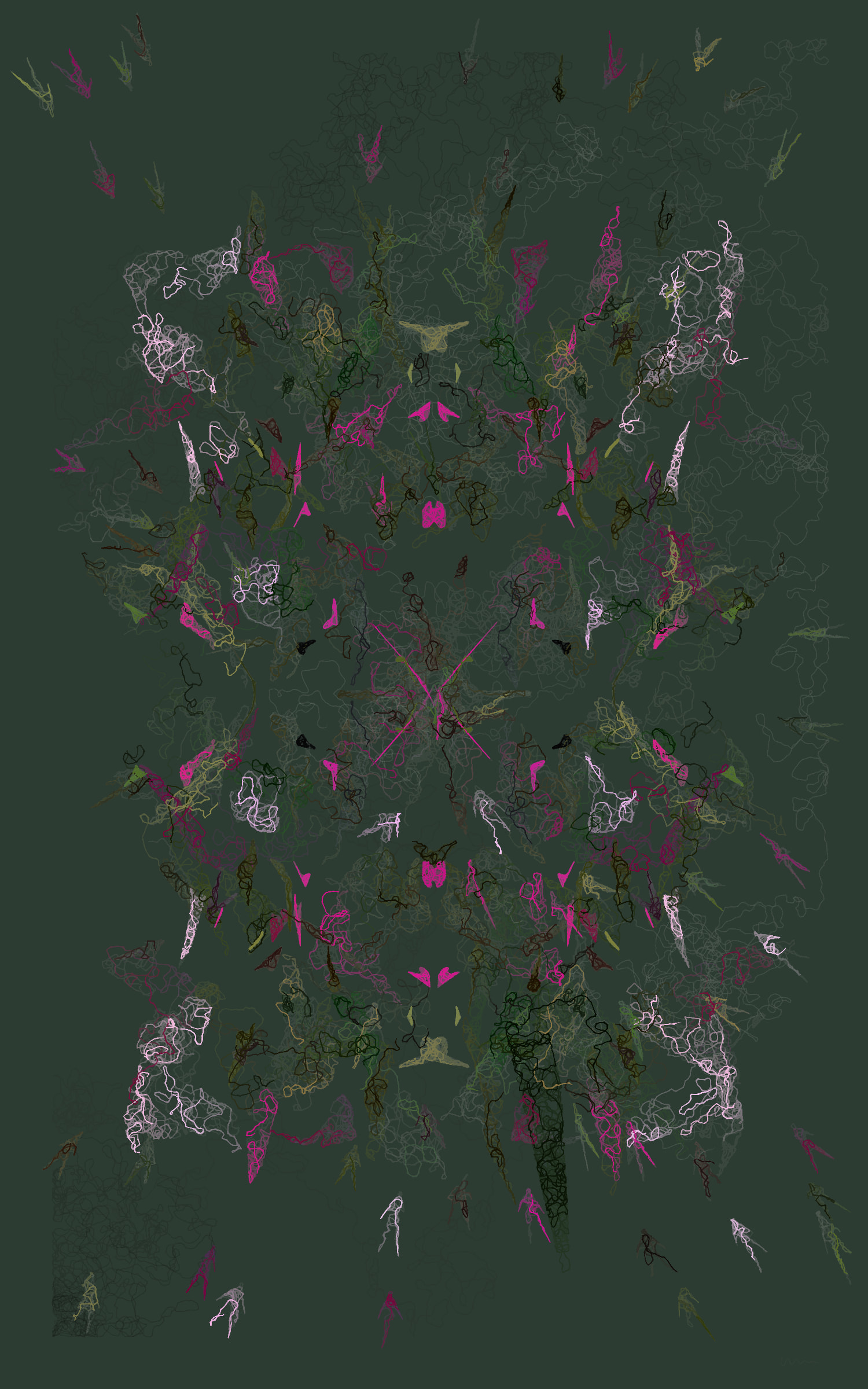 Orchids
