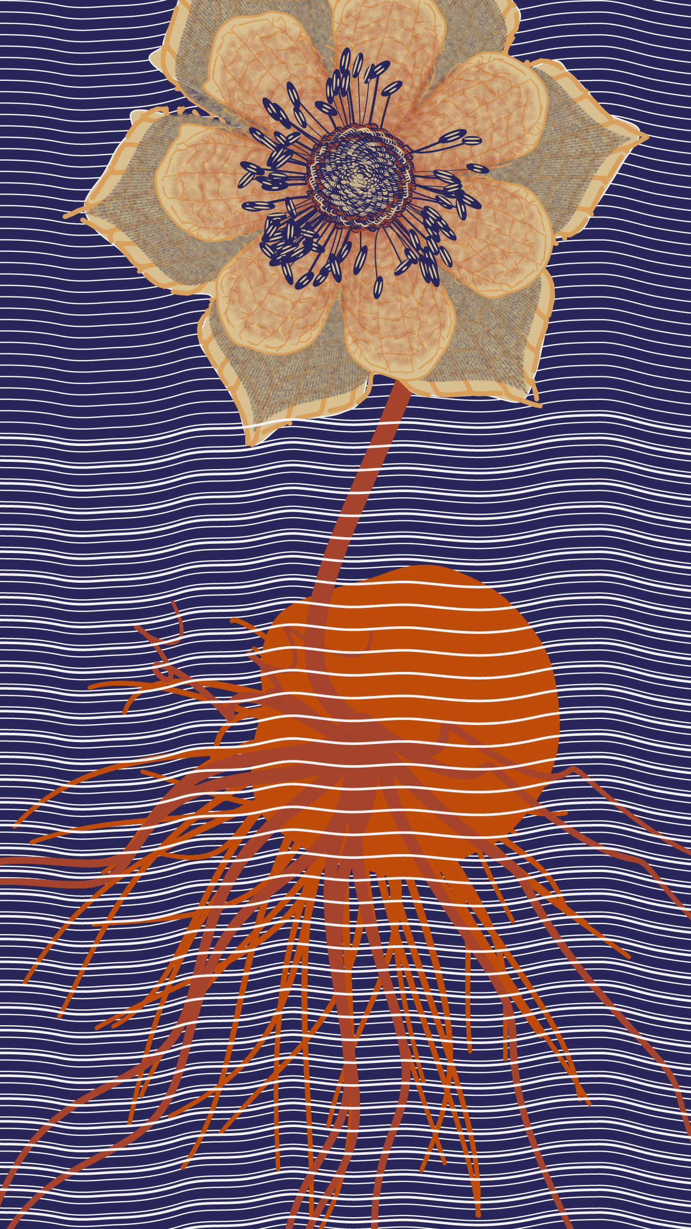 Underwater #20000002