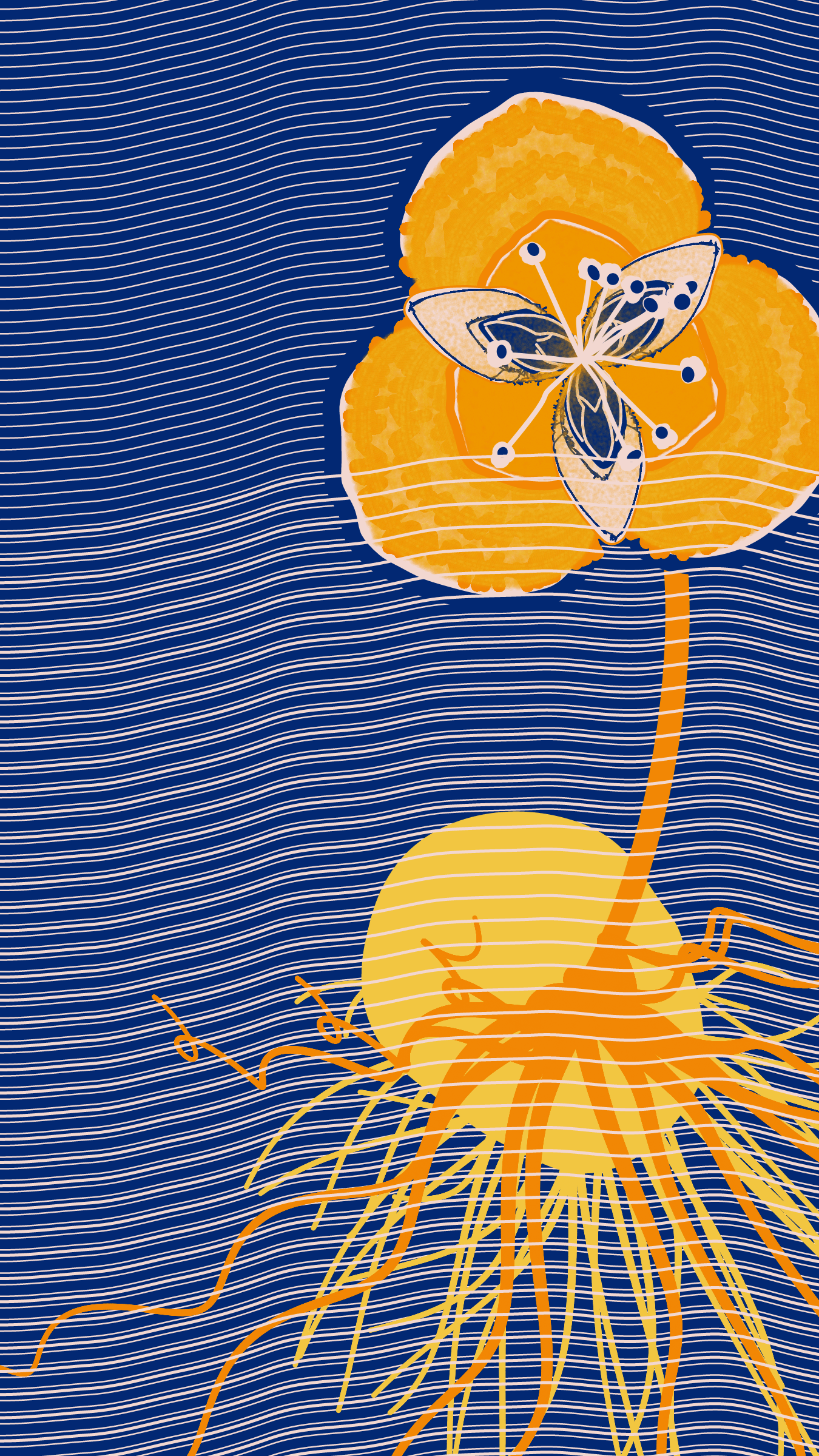 Underwater #20000005