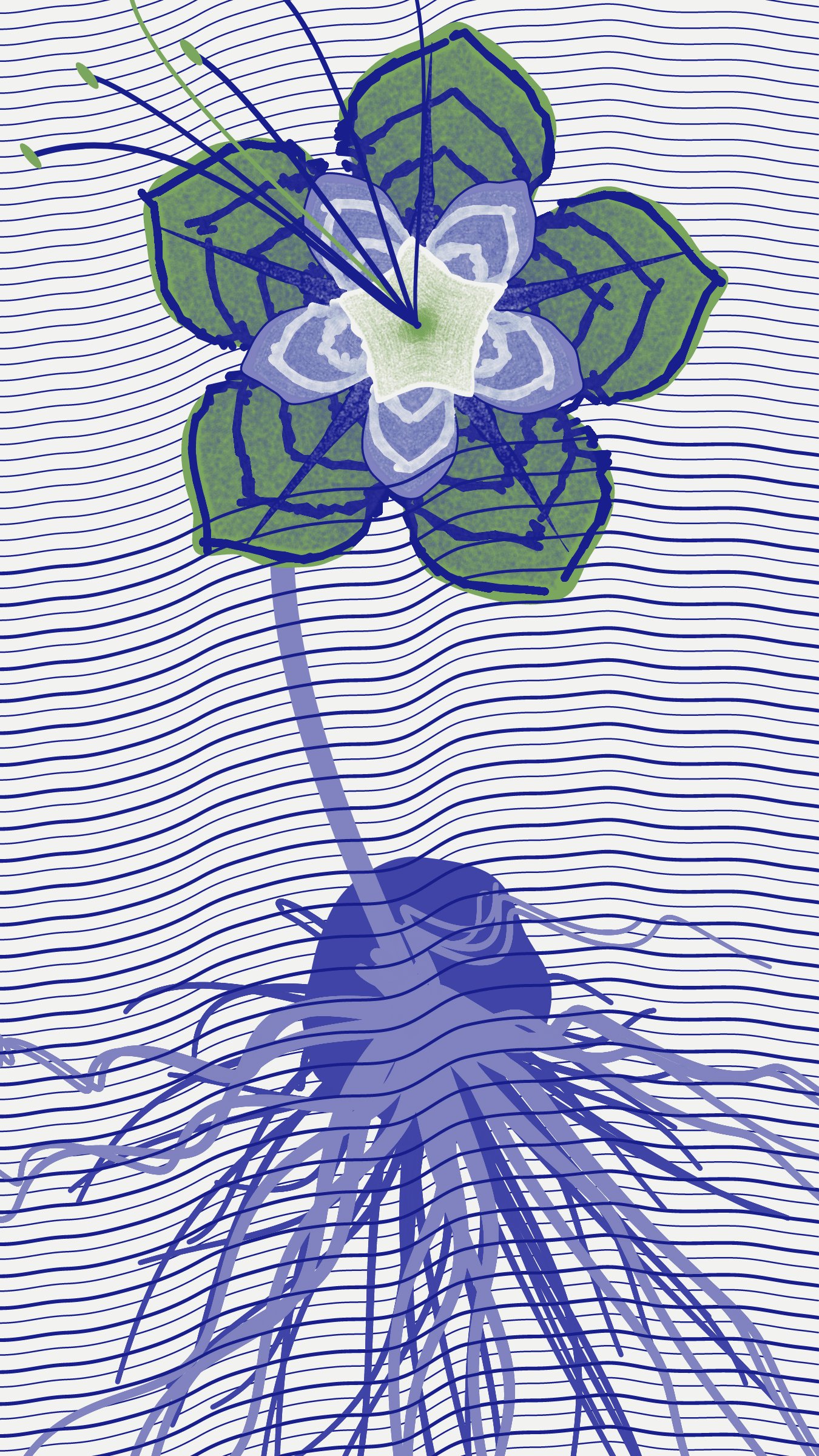 Underwater #20000006