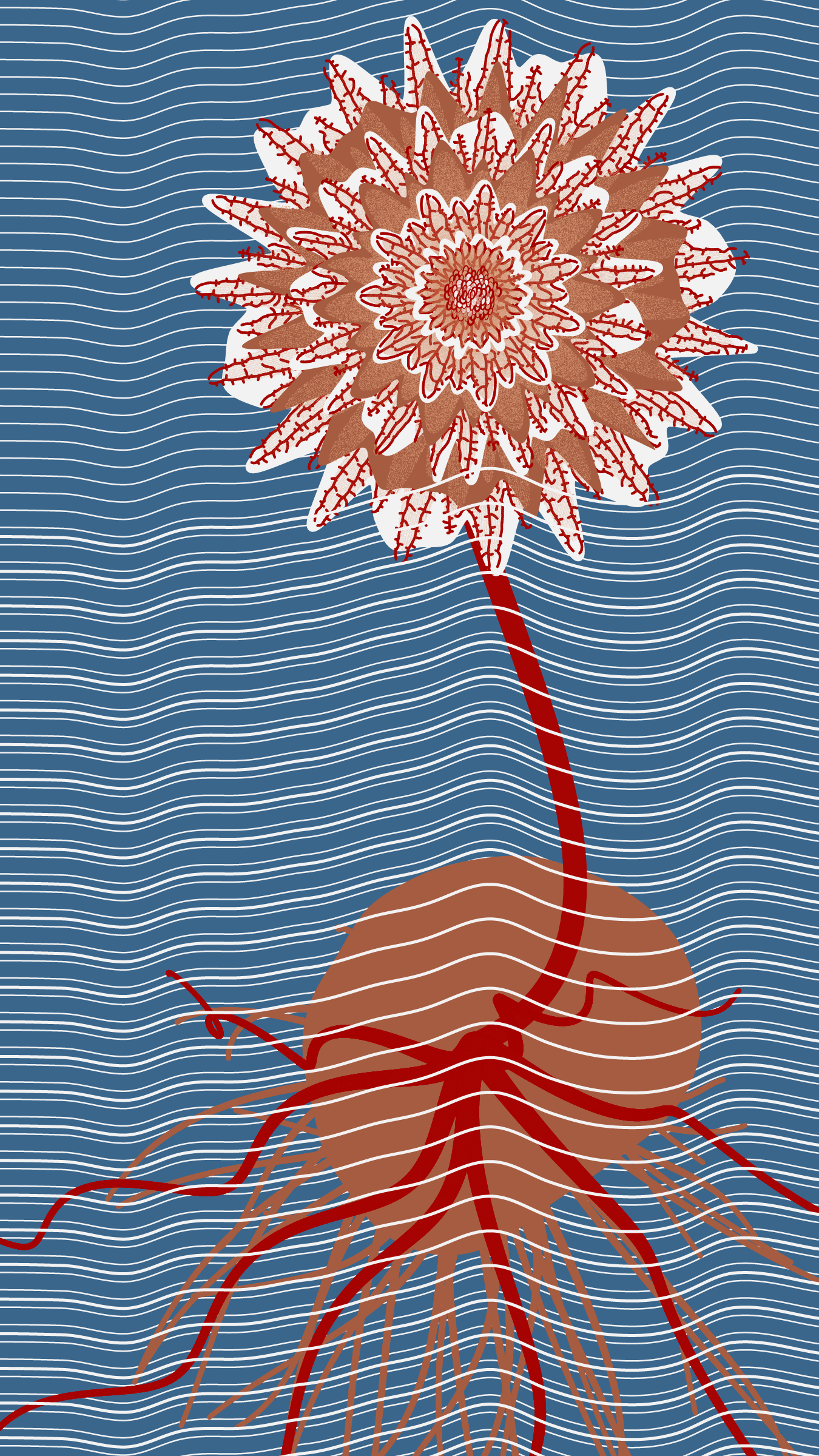 Underwater #20000014