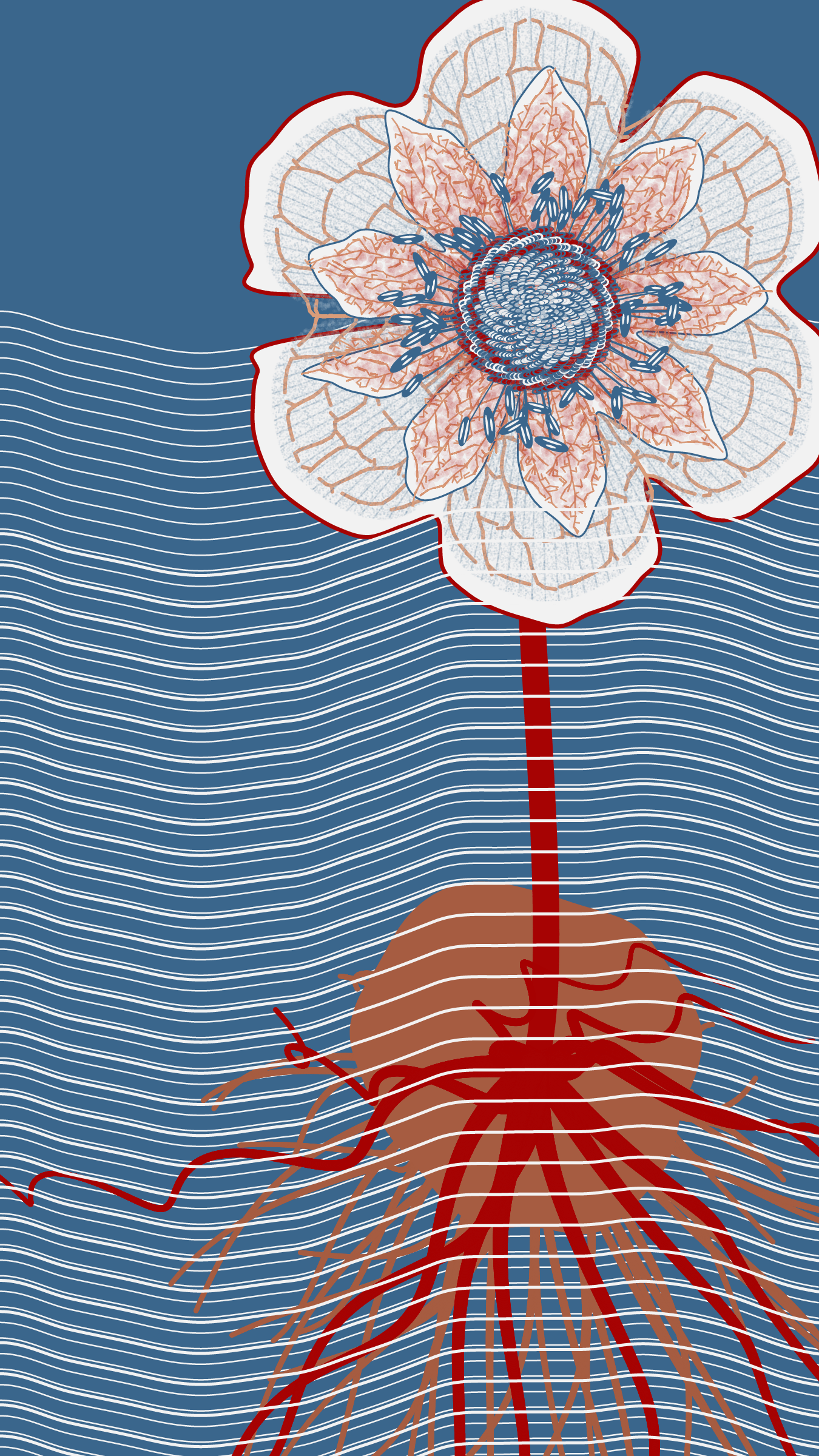 Underwater #20000022