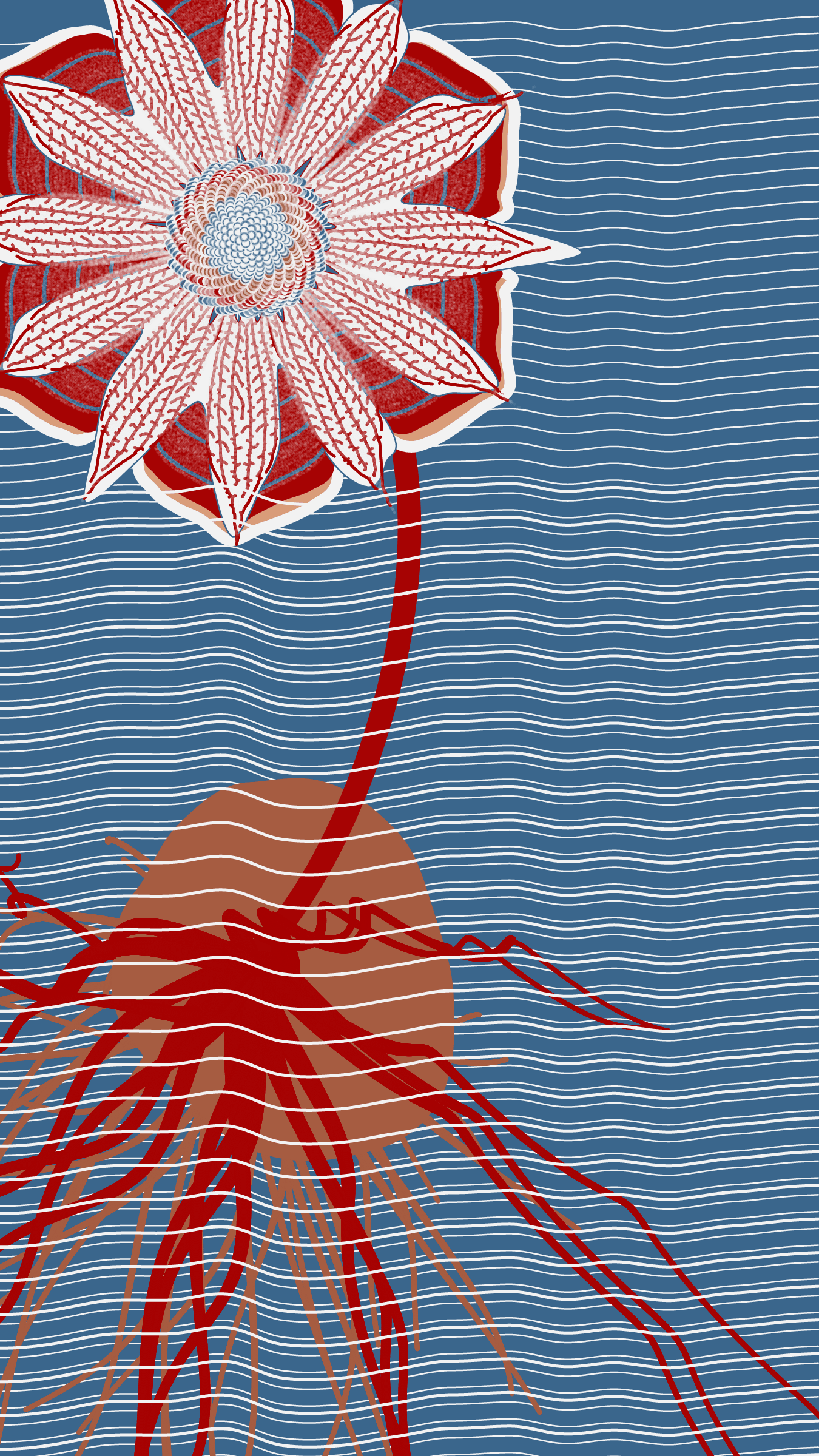 Underwater #20000025