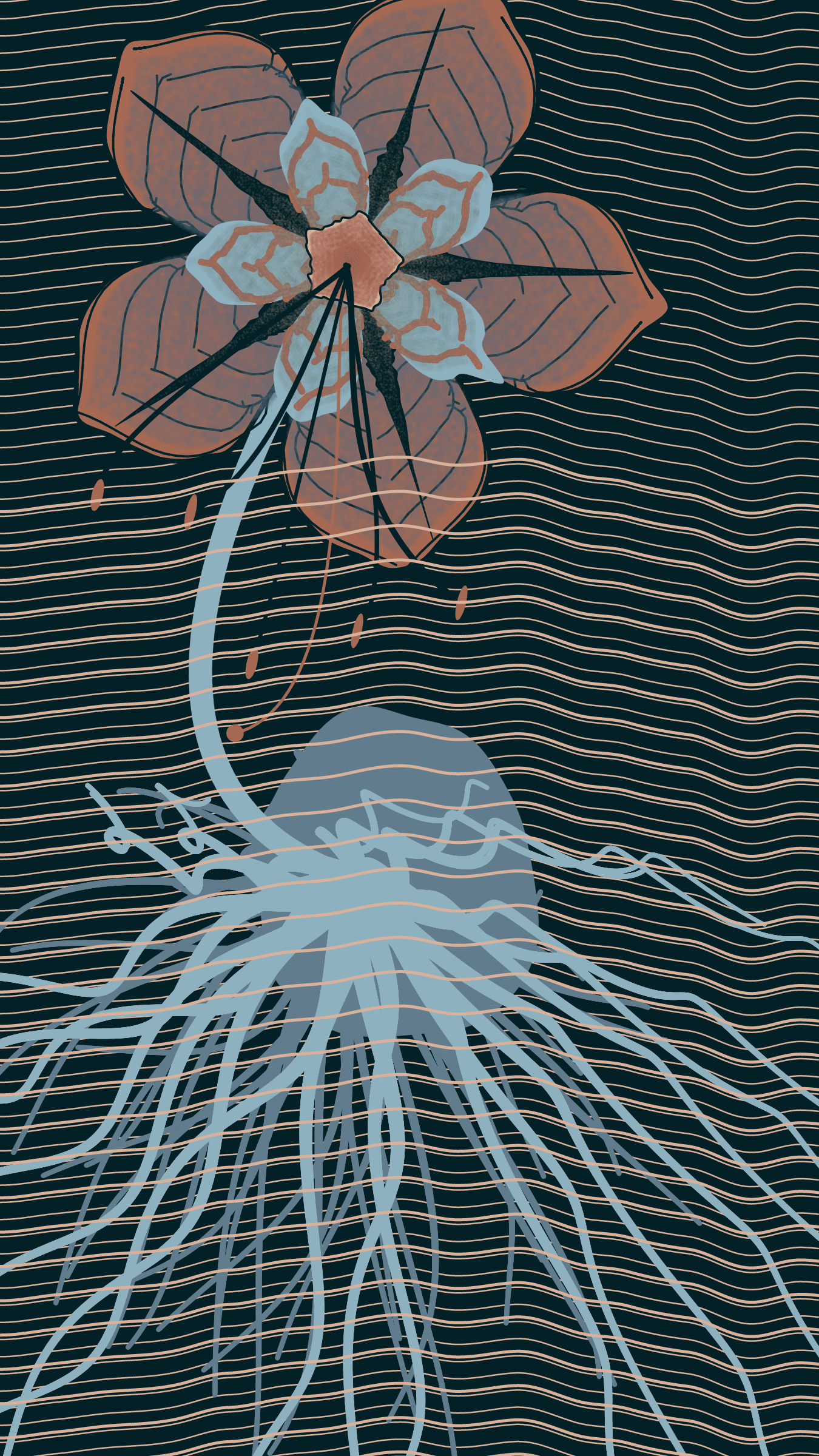 Underwater #20000026