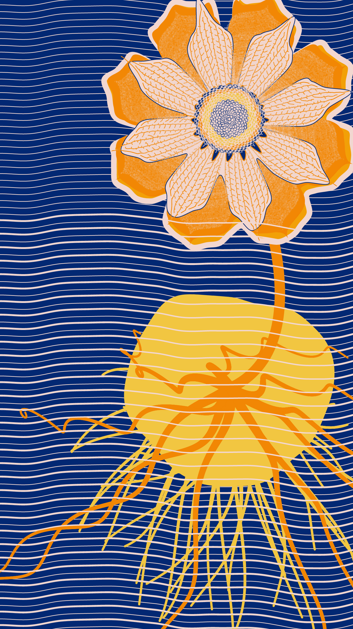 Underwater #20000031