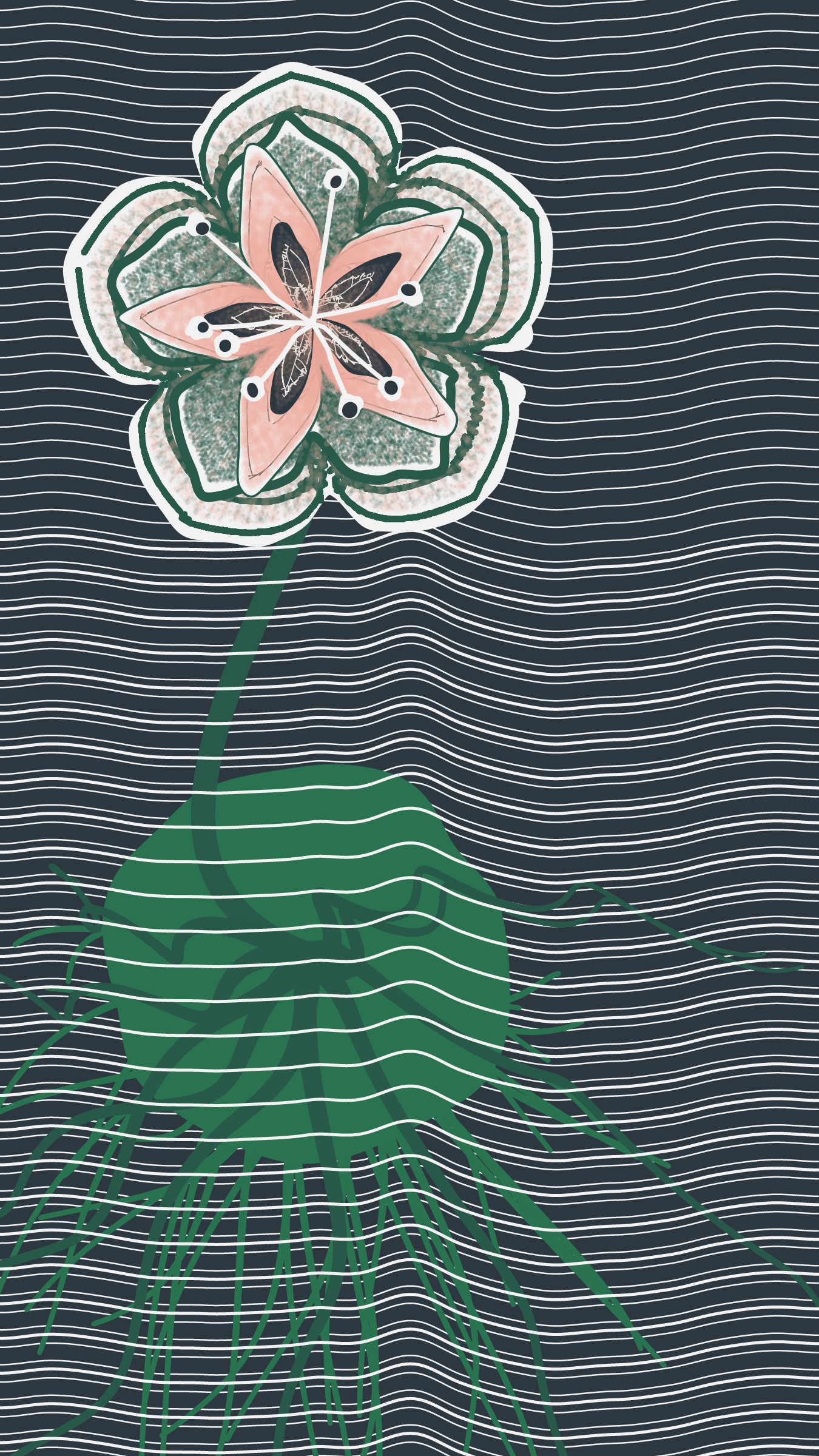 Underwater #20000032