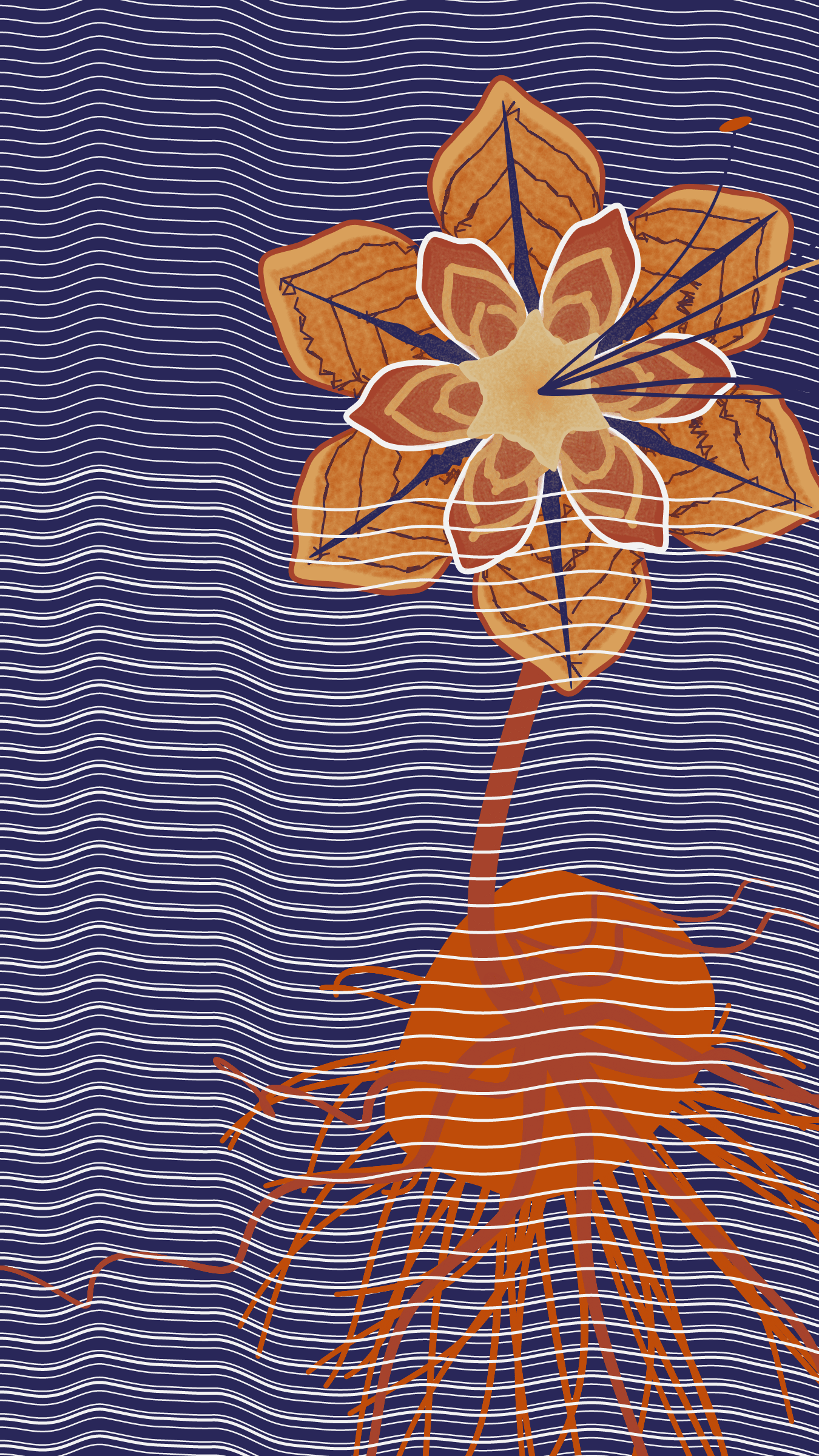 Underwater #20000033