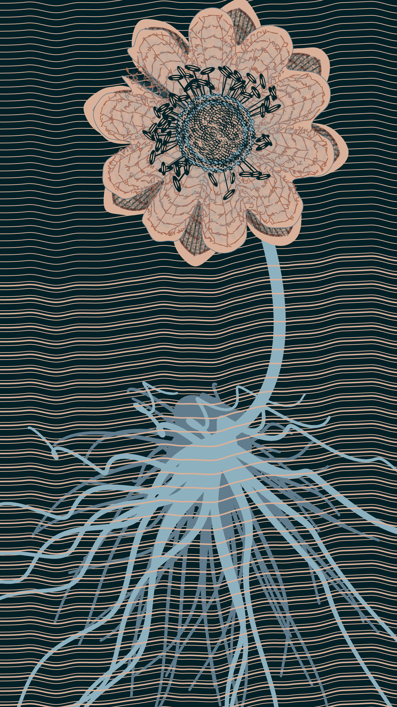 Underwater #20000036