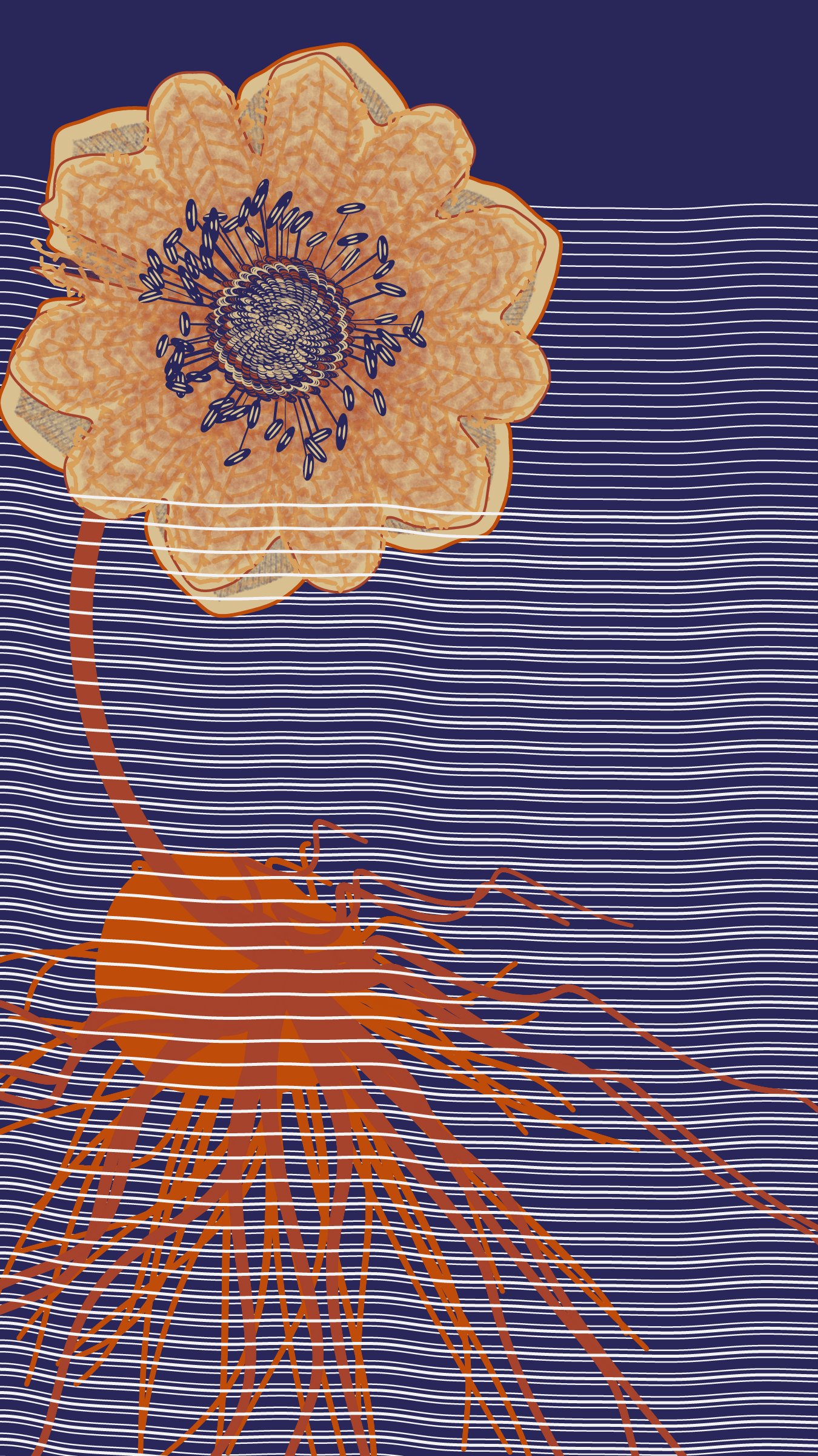 Underwater #20000037