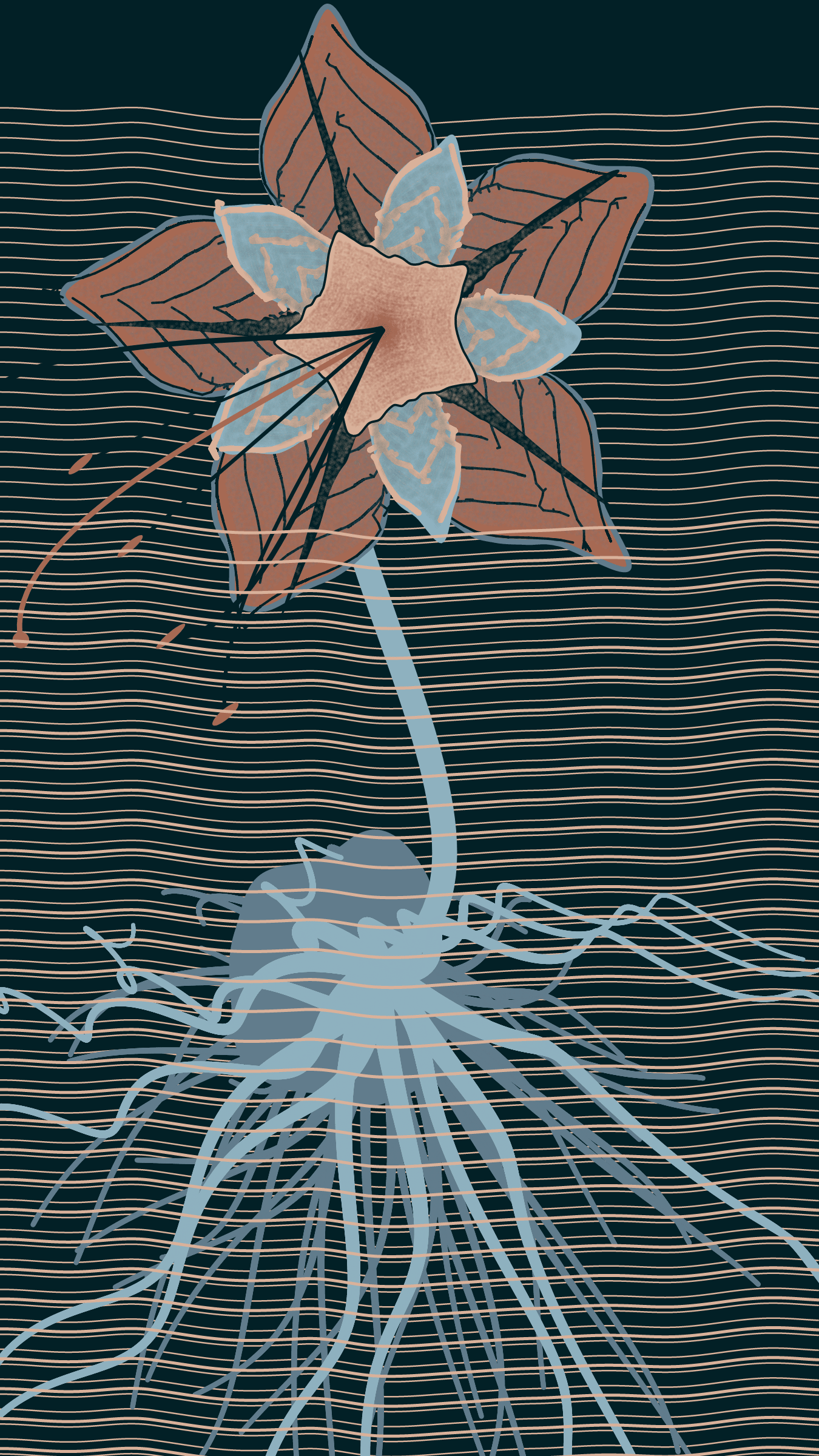 Underwater #20000038