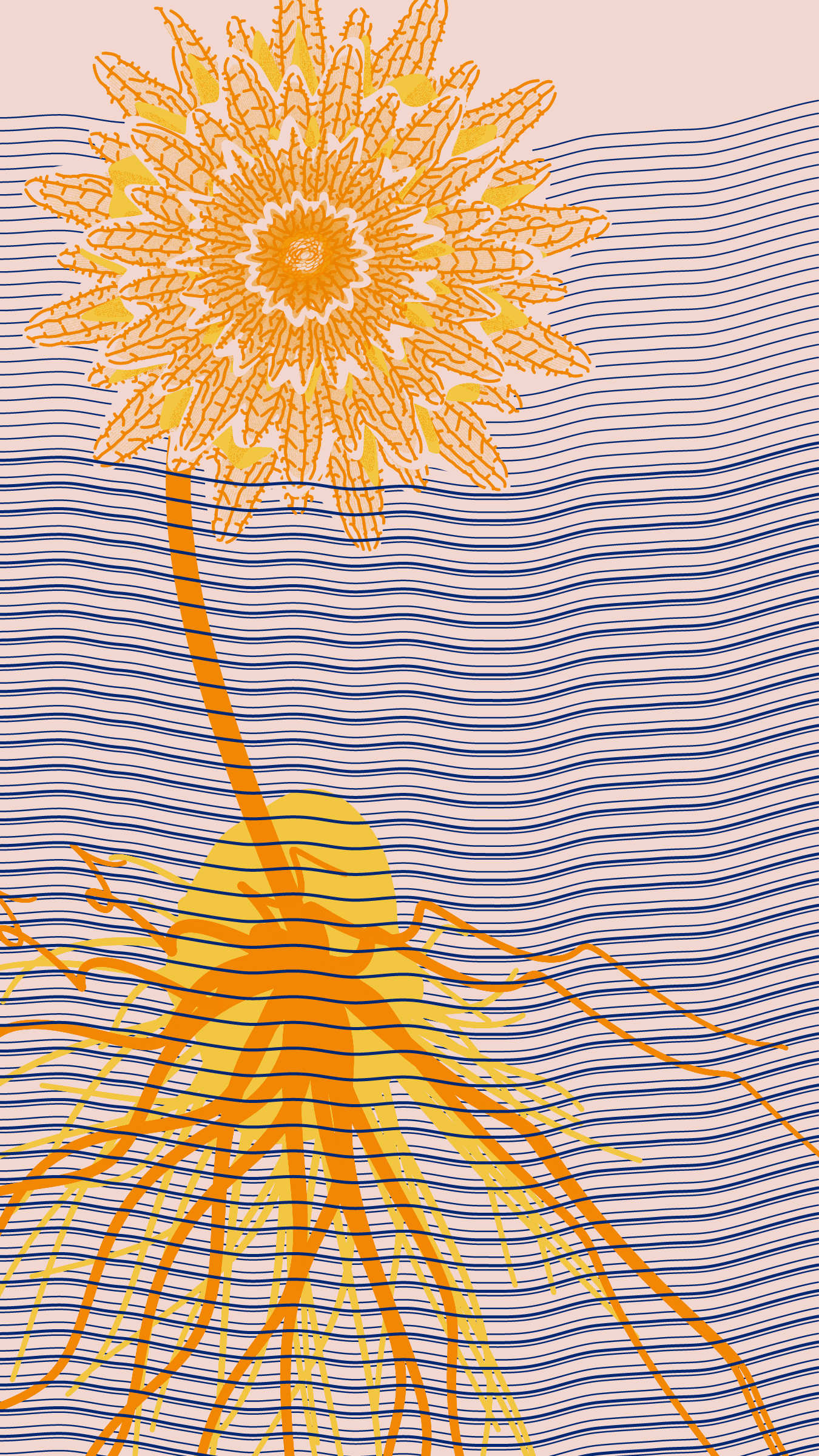 Underwater #20000042