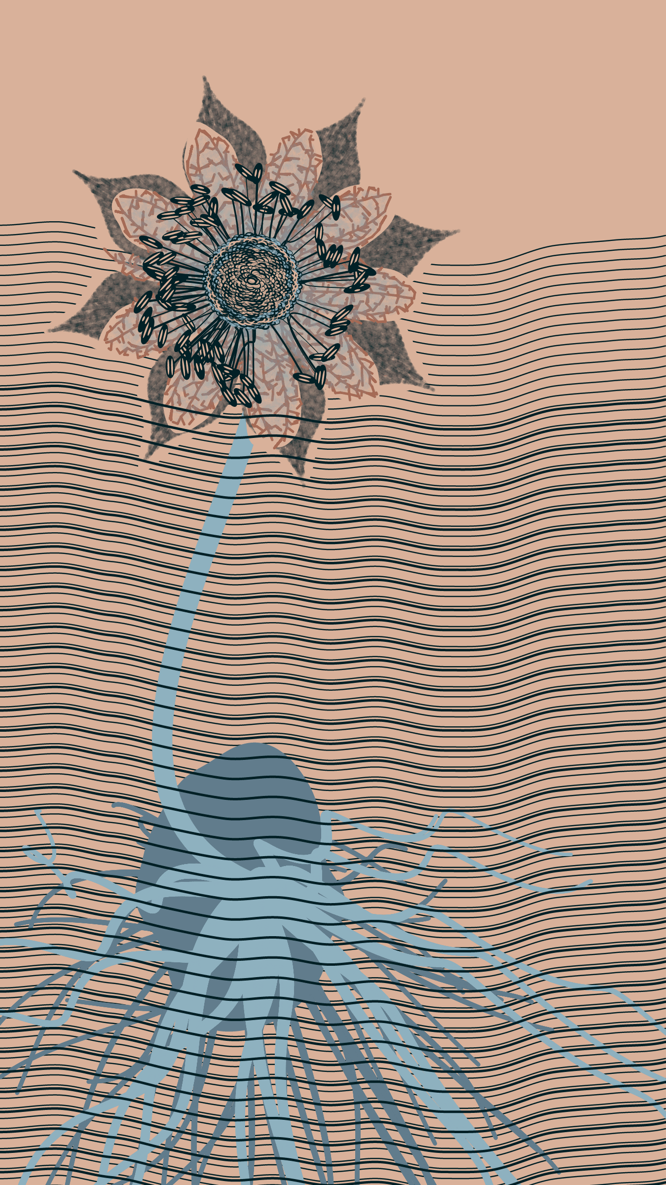 Underwater #20000045