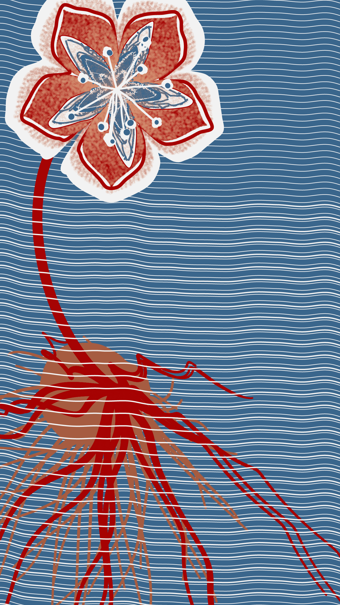 Underwater #20000047