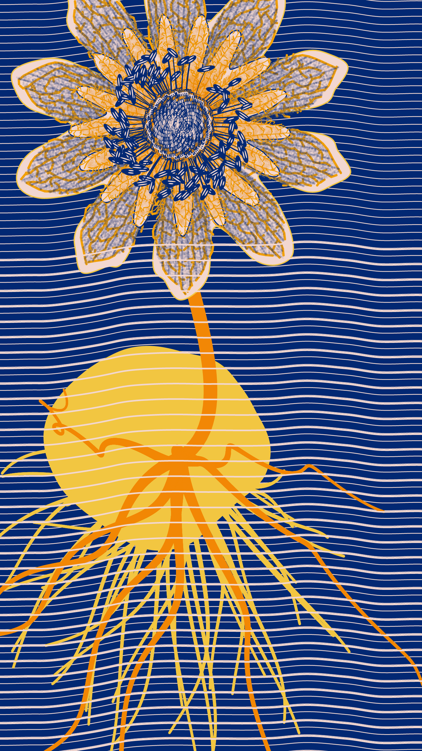 Underwater #20000053