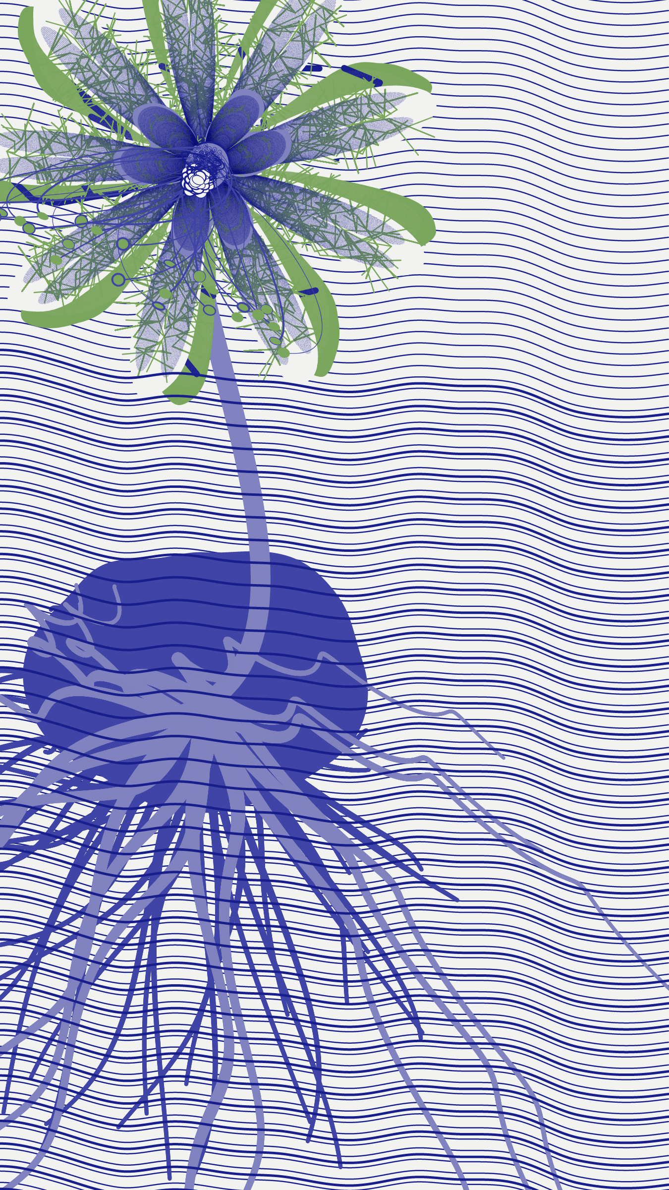 Underwater #20000054