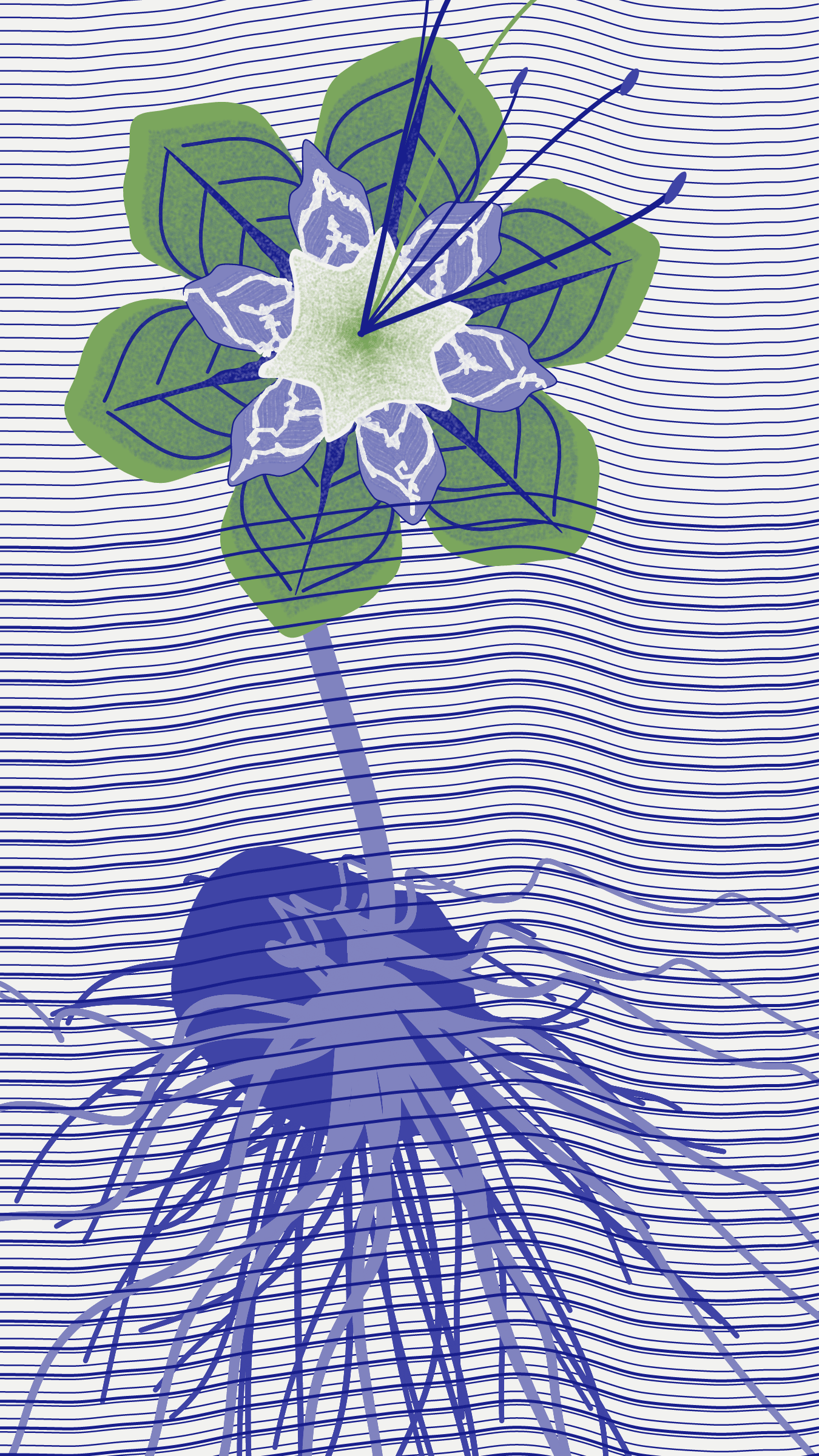 Underwater #20000056