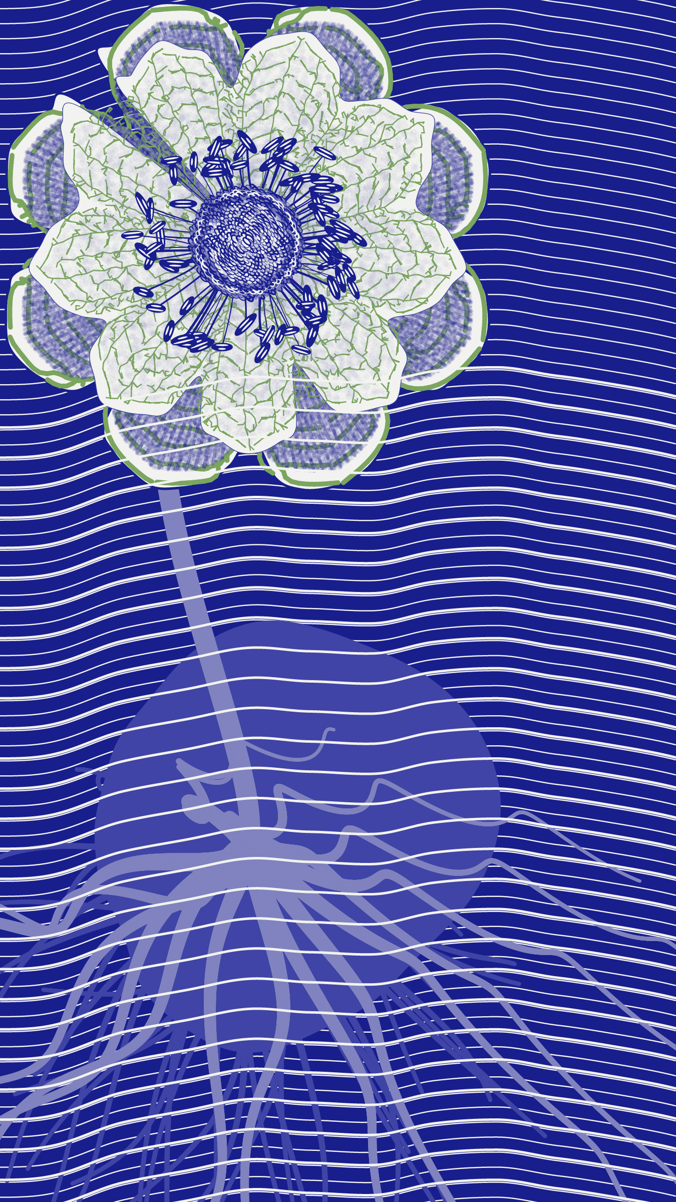 Underwater #20000058